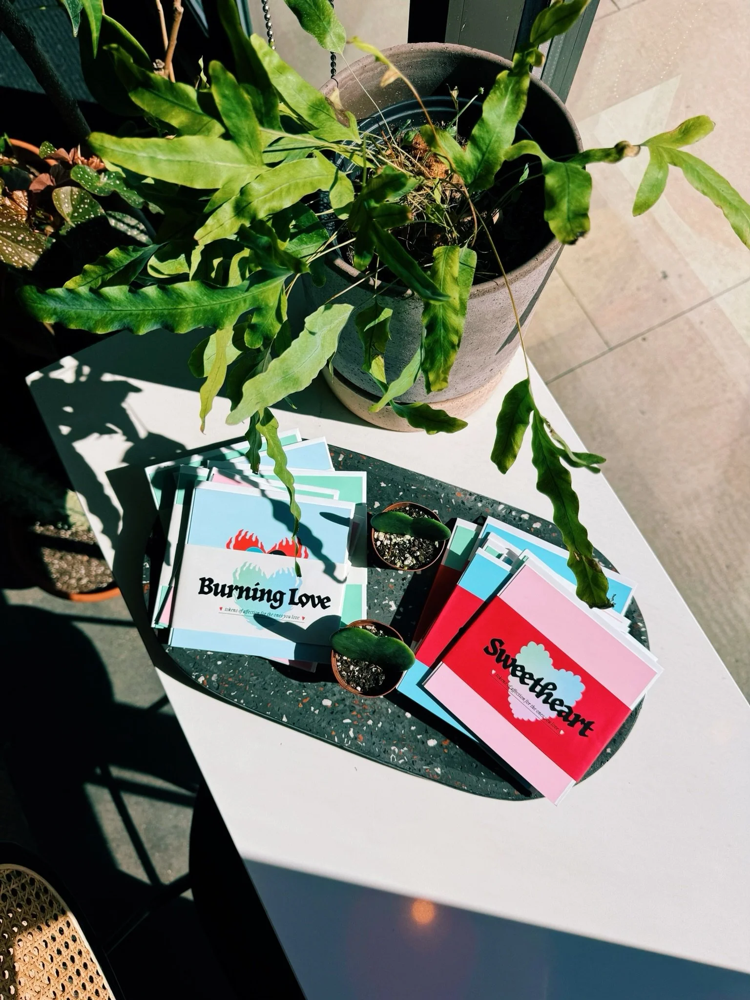 369E9E56-930B-4517-95B1-A27D9242A30F 2.JPG