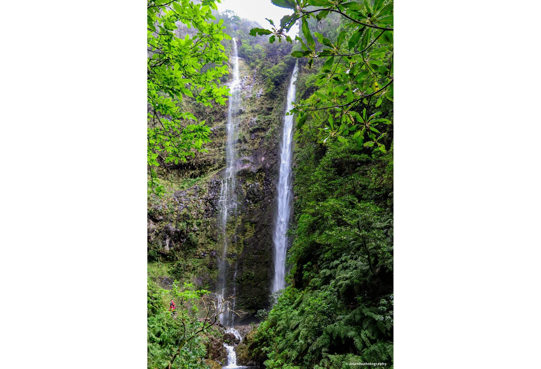 Madeira&rsquo;s combination of natural beauty, pleasant climate, and rich cultural heritage makes it a unique and attractive destination for travelers. Whether exploring the island&rsquo;s hiking trails, enjoying its festivals, or simply relaxing in 