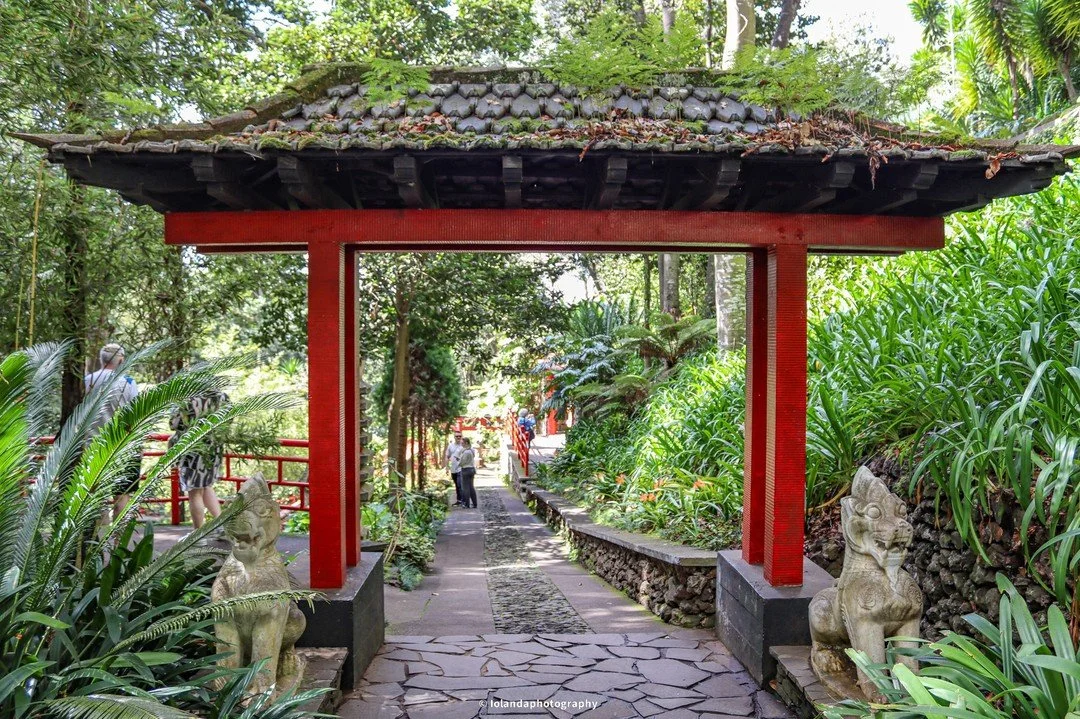The island's natural beauty and varied landscapes provide ample opportunities for outdoor activities. Hiking is particularly popular, with trails ranging from gentle walks through lush forests to challenging routes up rugged peaks. Whale and dolphin 