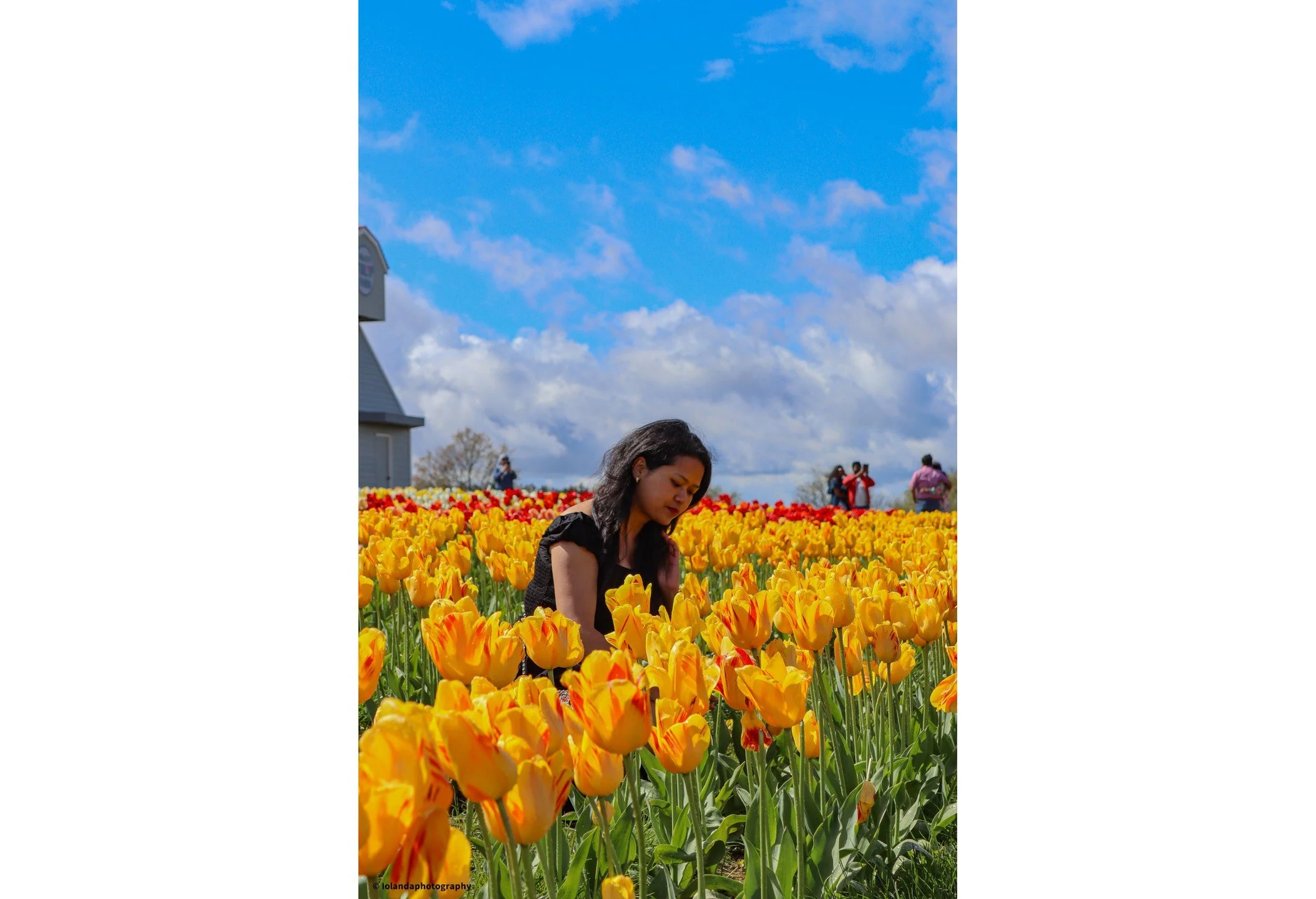 &ldquo;Flowers whisper &lsquo;Beauty!&rsquo; to the world, even as they fade, wilt, fall.&rdquo;&ndash; Dr. SunWolf

With the beautiful @banri_kjahrin 🥰
#tulips #spring #PicOfTheDay #PhotographyEveryday #Photogram #JustGoShoot #InstaPhoto #Photograp