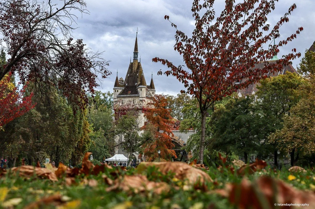 🍂
#hungray #budapest #PicOfTheDay #PhotographyEveryday #Photogram #JustGoShoot #InstaPhoto #PhotographySouls #PhotoOfTheDay #ExclusiveShots #Capture #PhotographyIsLife #Camera #Phoneography #MasterShots #Main_Vision #PhotographDaily #Composition #In