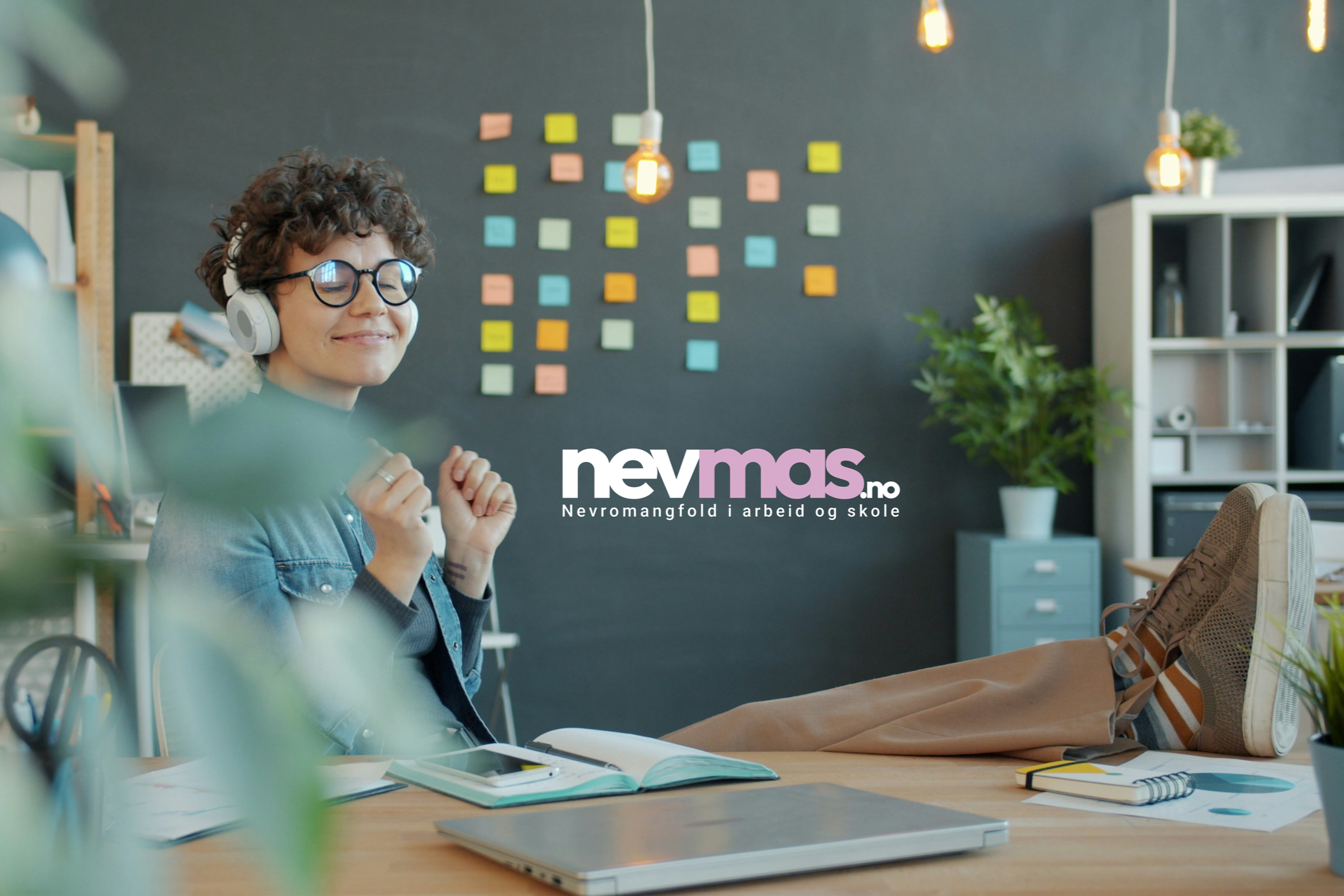 WEBINAR - Åpen demo - Nevmas