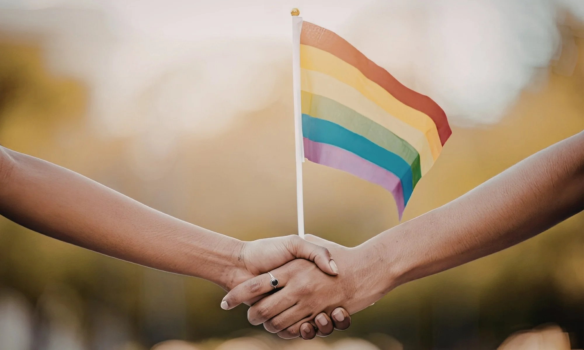 Two people are shaking hands with a rainbow flag being held between them, symbolizing support or solidarity for LGBTQ+ community.