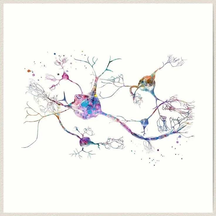 Neurotransmitters Neuron Synapse Art Print.jpeg
