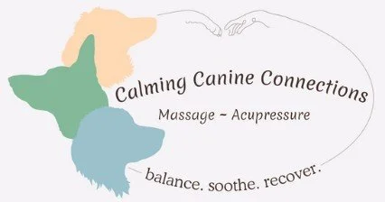 Calming Canine Connections