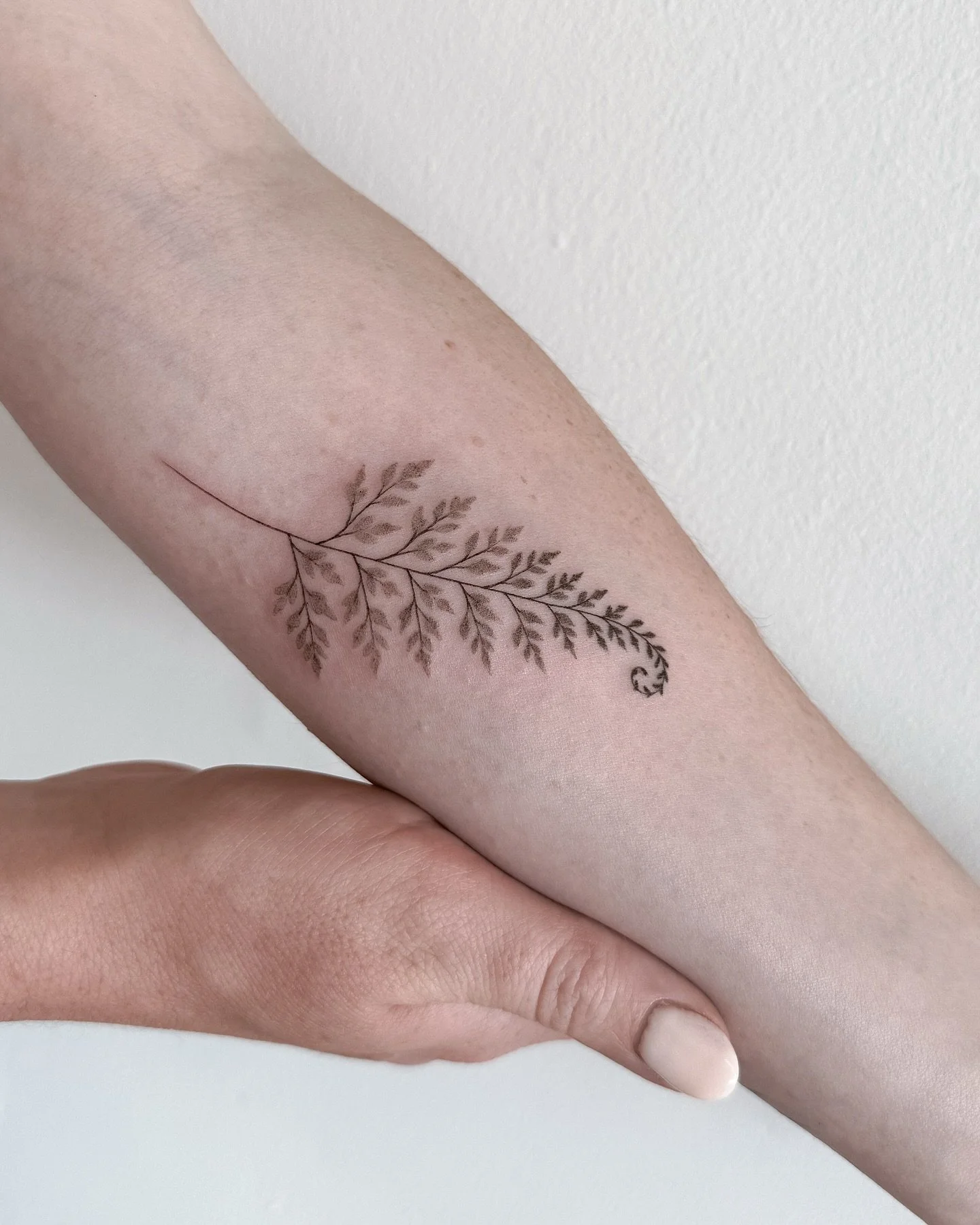 two lovely ferns for two lovely sisters 🌿🌿
swipe to the end for the most gorgeous photo they shared with me 😍✨

#armtattoo #botanicalillustration #ferntattoo #ferns #botanicalart #finelinetattoo #botanicaldrawing #delicatetattoo #minimaltattoos #b