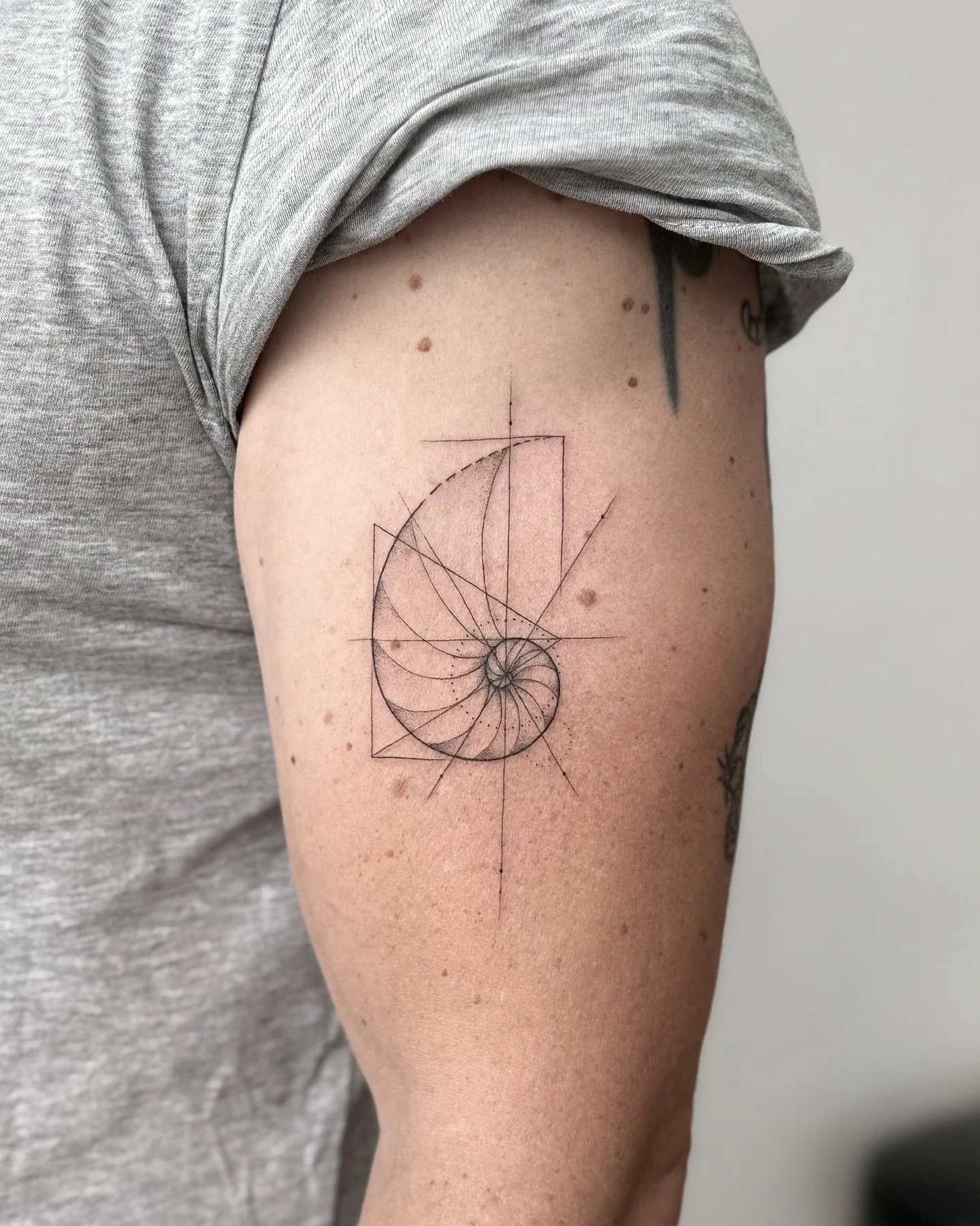 Fibonacci / ammonite inspired geometric design for Ed.
loved creating this, tysm! ✨✨

#fibonacci #fibonaccispiral #fibonaccisequence #fibonaccitattoo #ammonite #ammonites #geometricalart #geometrictattoo #geometrictattoos #geometricdesign #geometricp