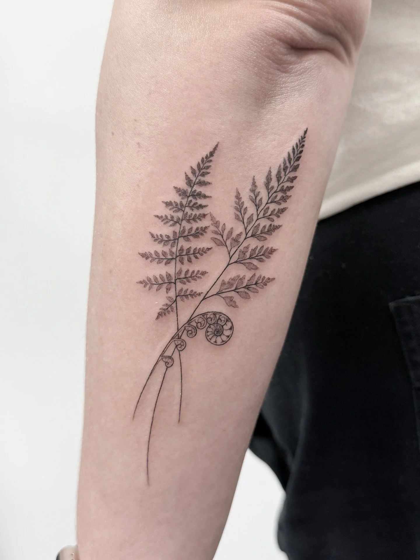 one of my ferns from earlier this year 🌿

just a reminder that i&rsquo;m on mat leave until next spring. can&rsquo;t wait to make some lovely pieces for you on the other side! ✨

#armtattoo #botanicalillustration #ferntattoo #ferns #botanicalart #fi
