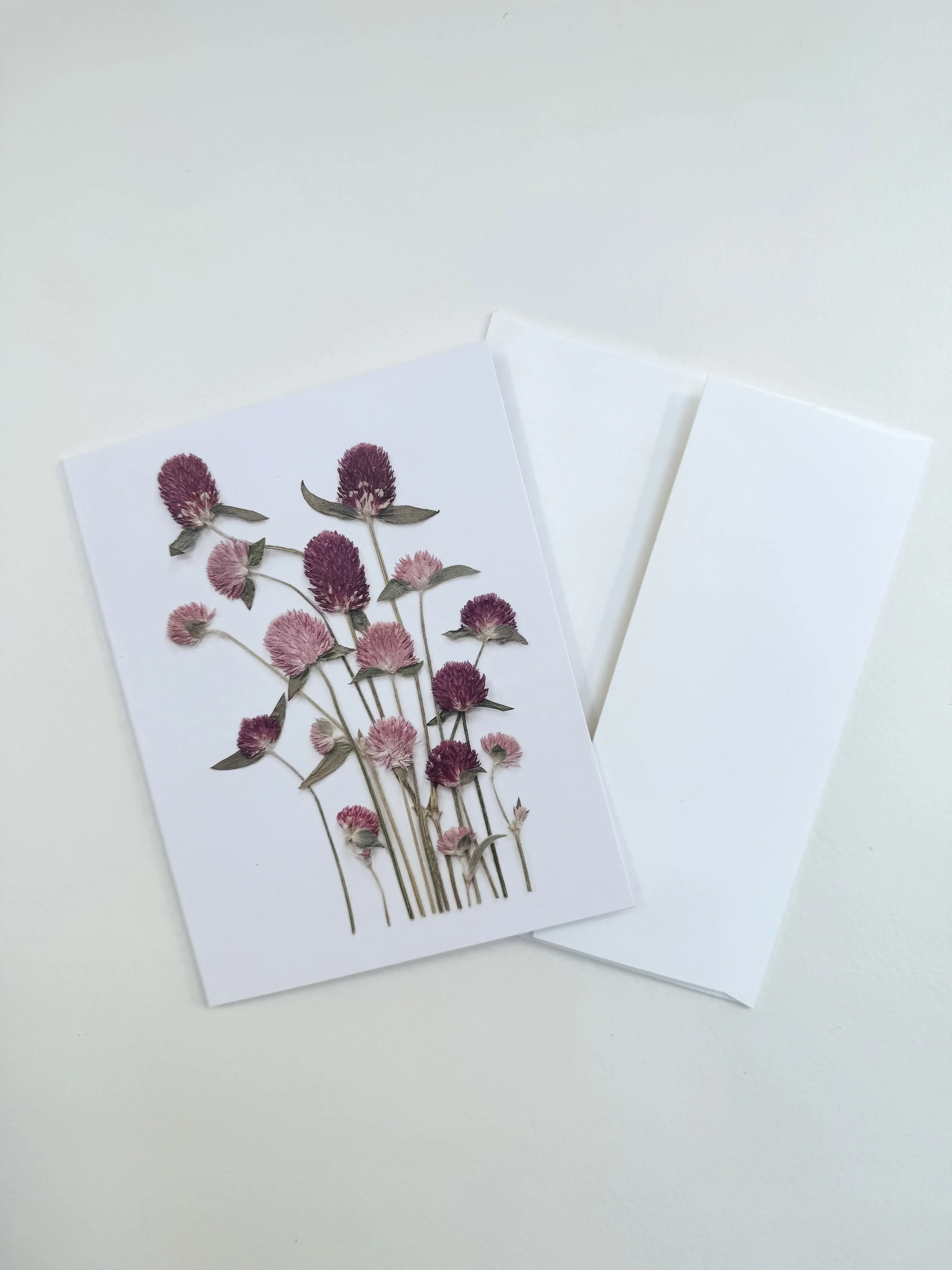 Globe Amaranth | 5 Card Set