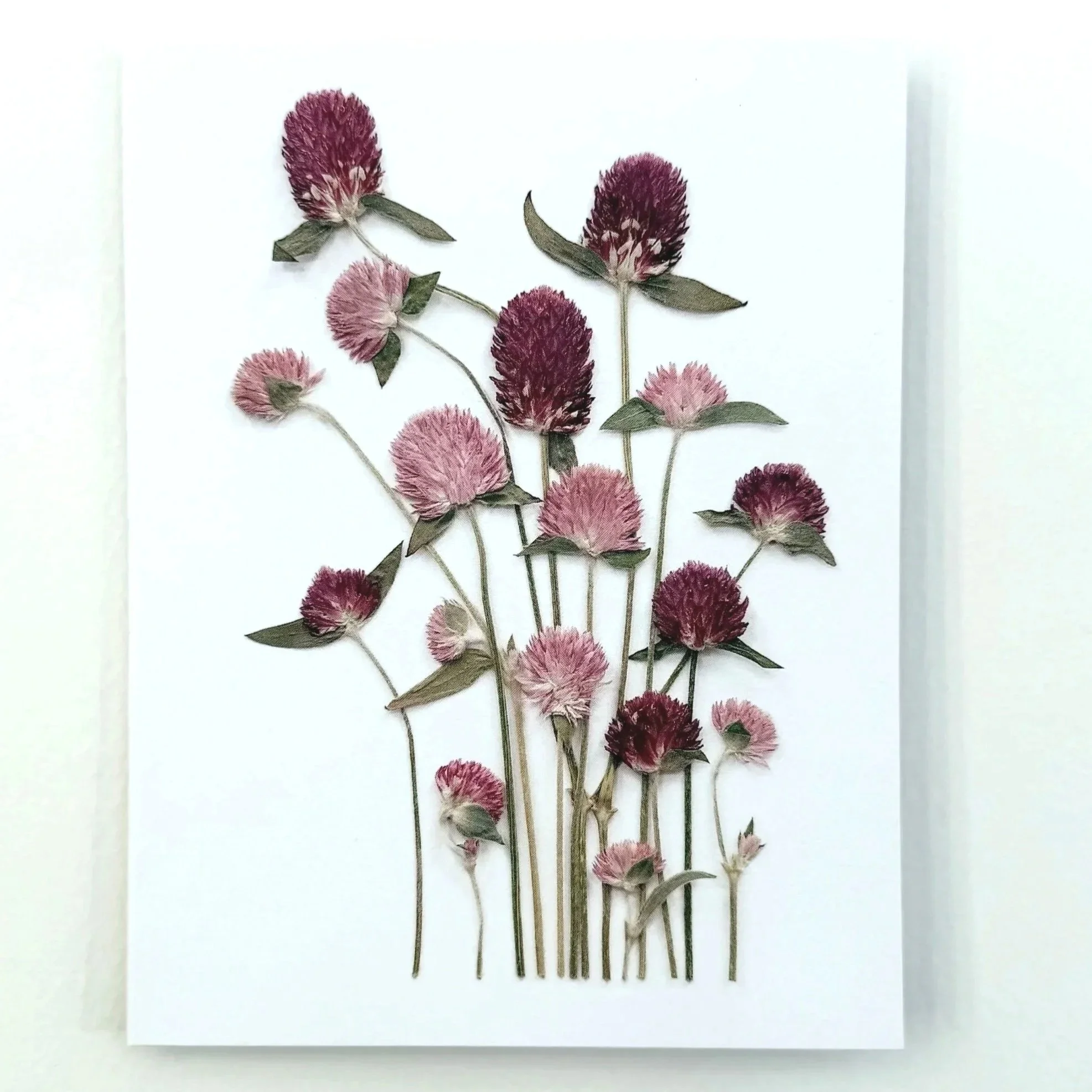 globe-amaranth-pressed-flower-card-front.jpg