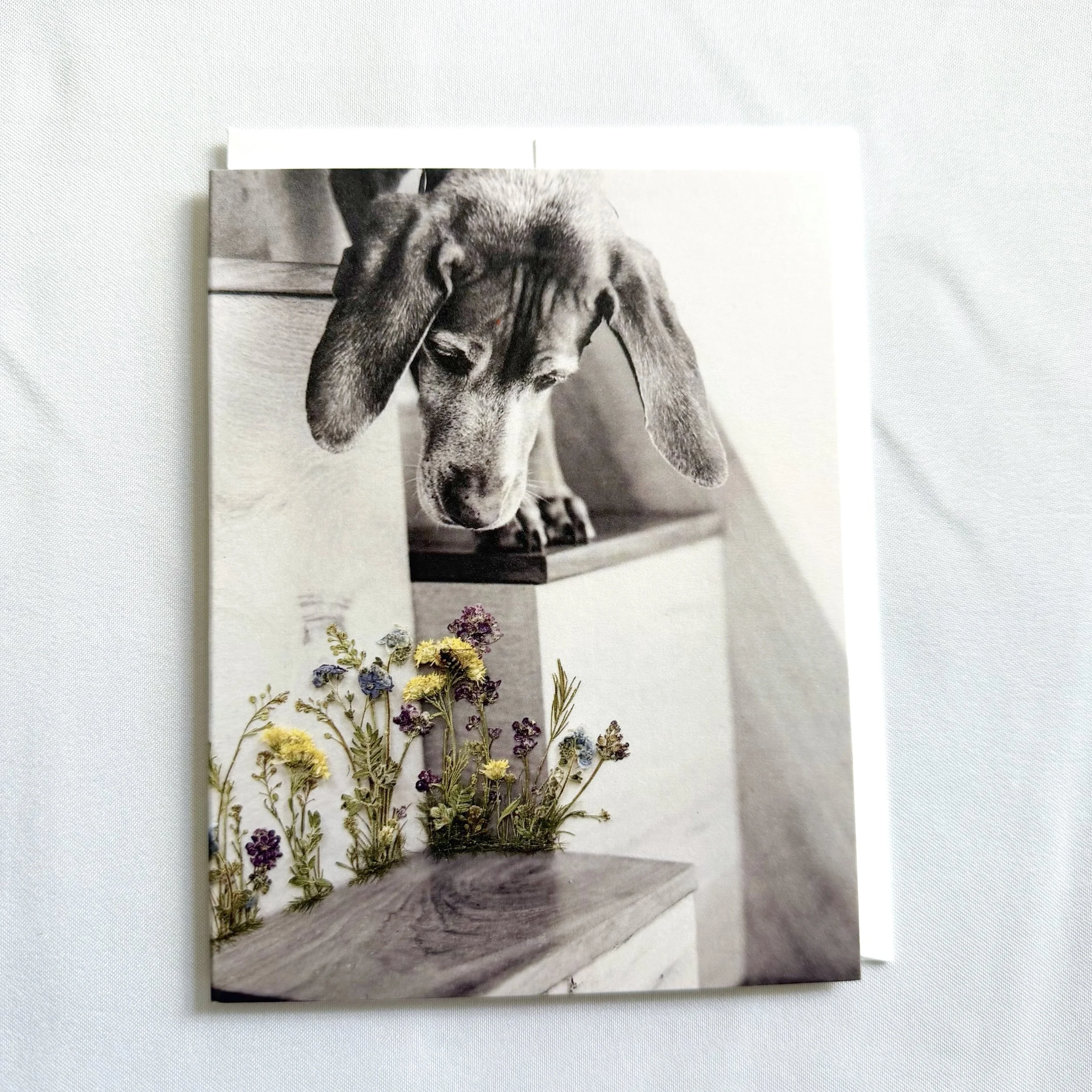dog-flowers-greeting-cards.jpg
