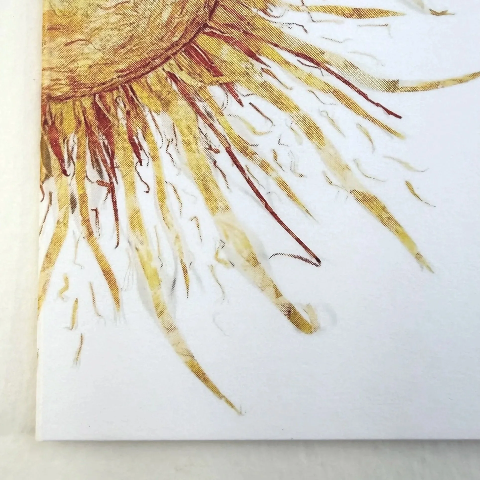 sun-rays-close-up-card.jpg