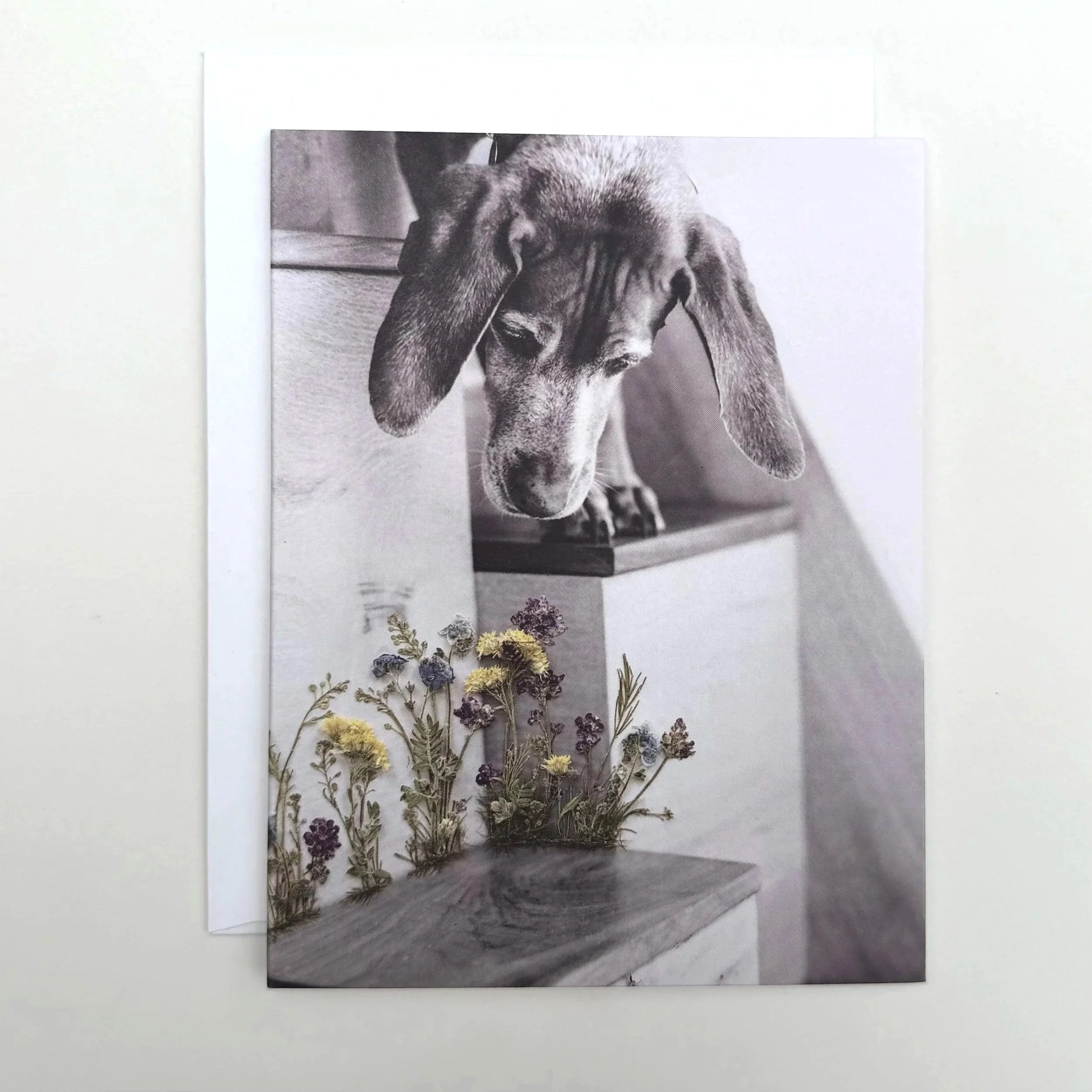 hungarian-vizsla-dog-flowers-cards.jpg