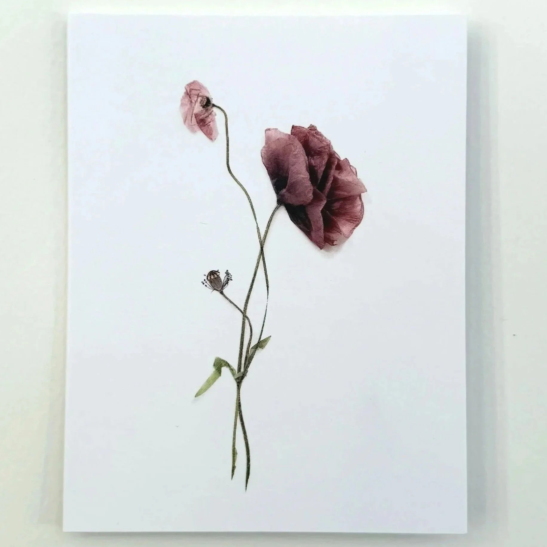 poppy-stages-card-front.jpg