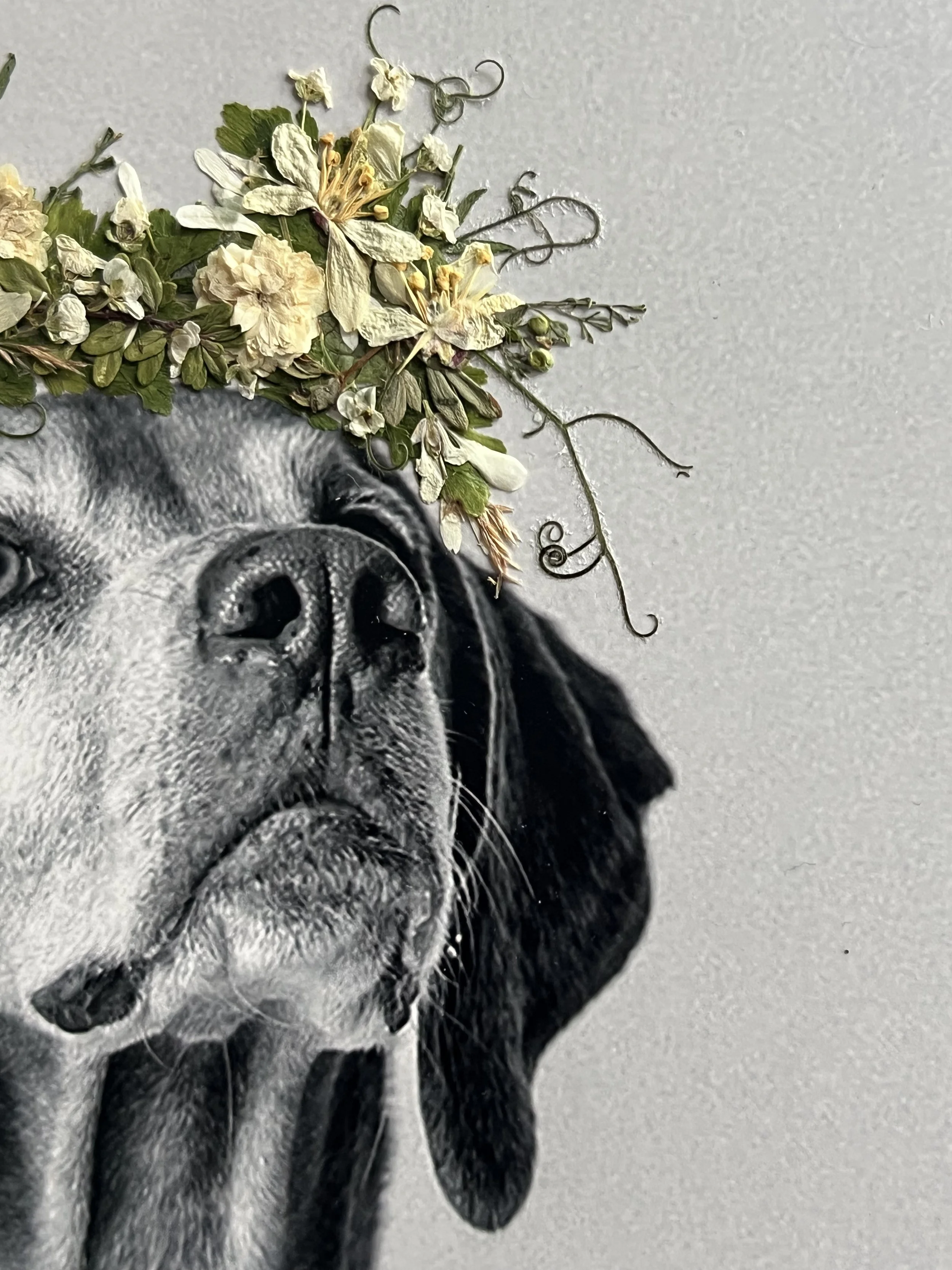 vizsla-dog-flower-crown-print