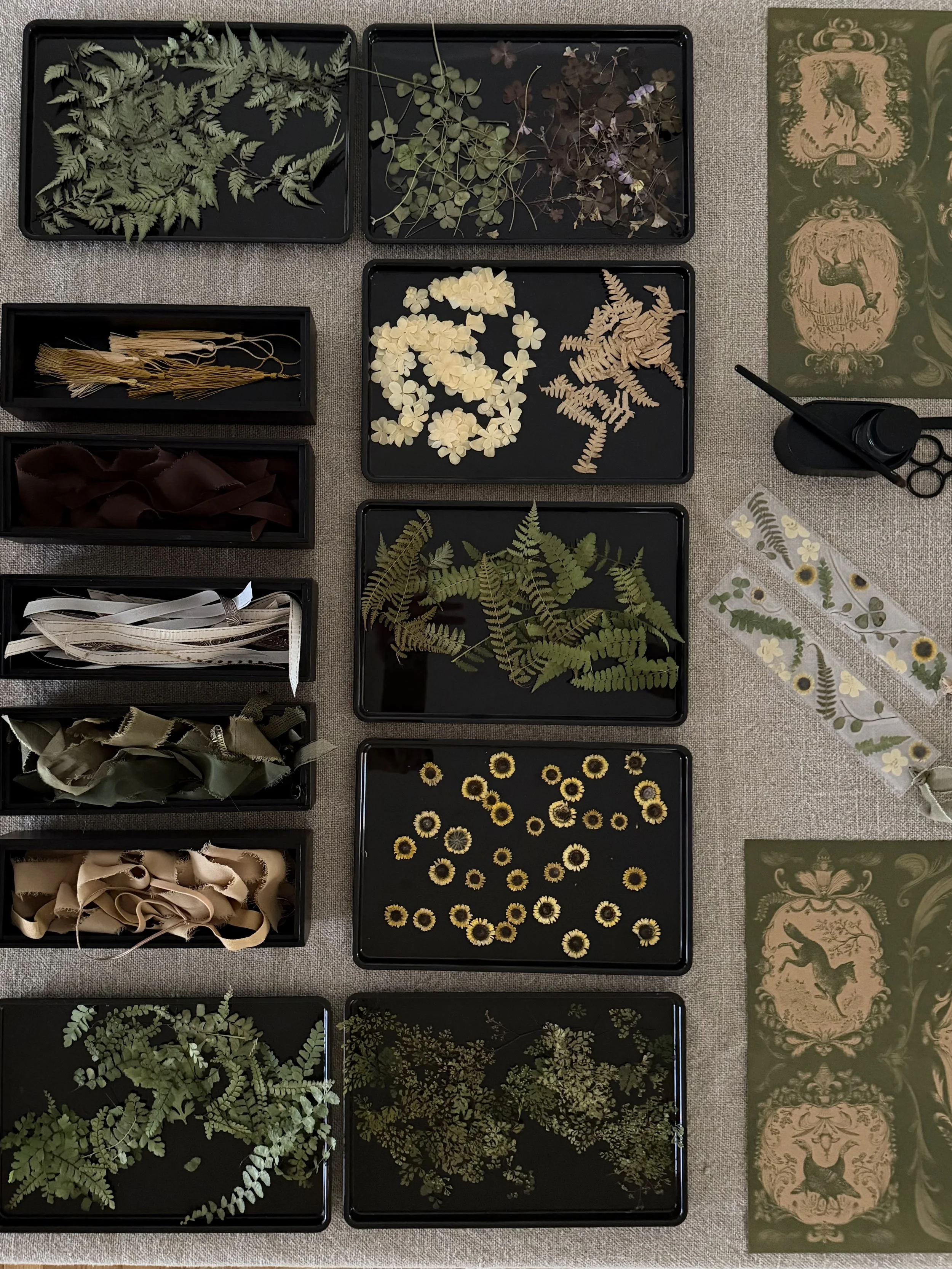 Multiple trays containing various pressed fall natural elements, including ferns, flowers, and leaves, arranged on a table with decorative botanical prints and sheets.