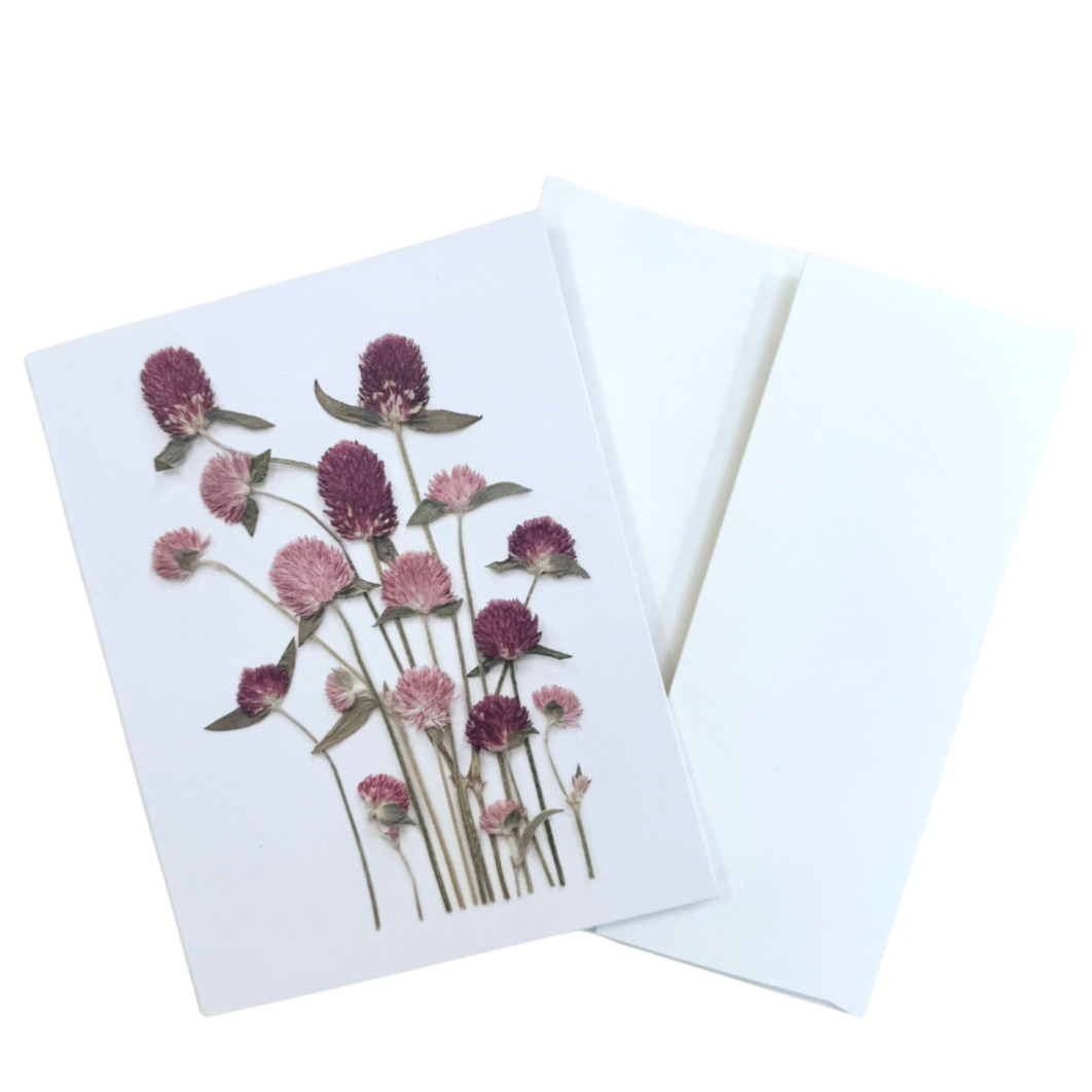 Globe Amaranth | 5 Card Set