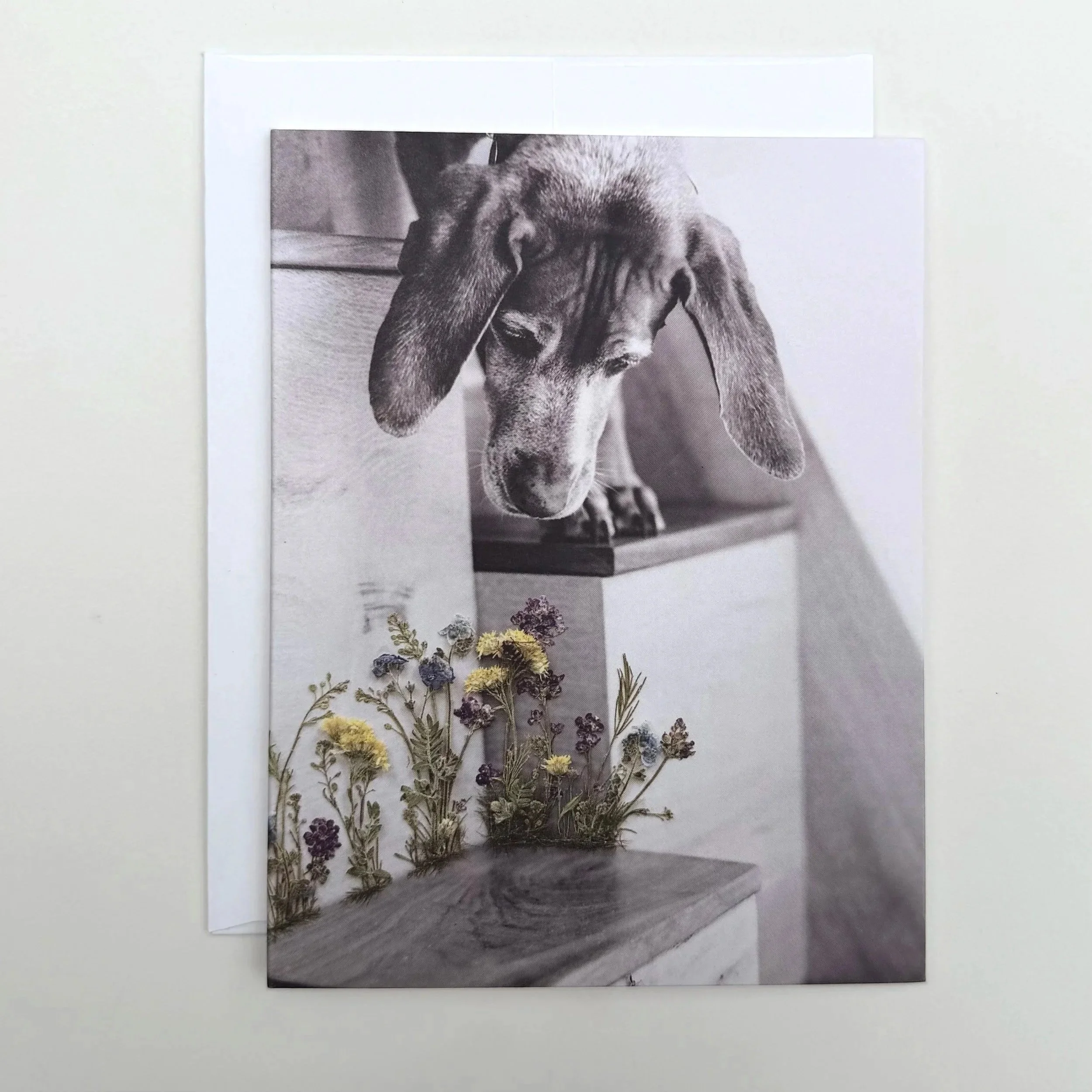 note-card-dog-flowers.jpg