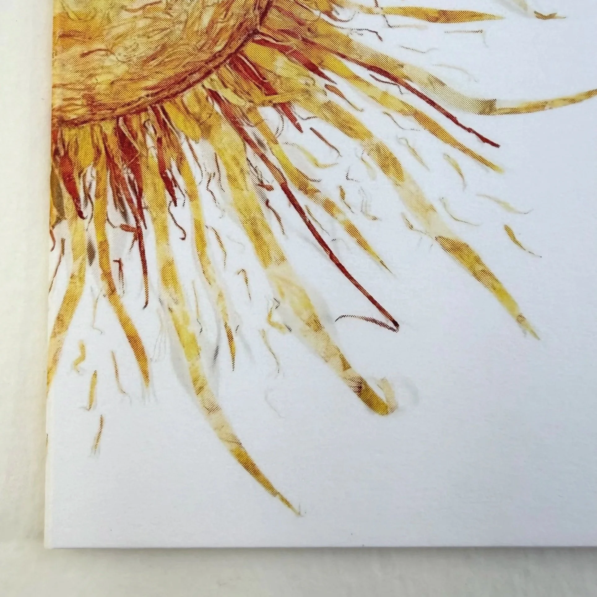 sun-rays-close-up-card.jpg