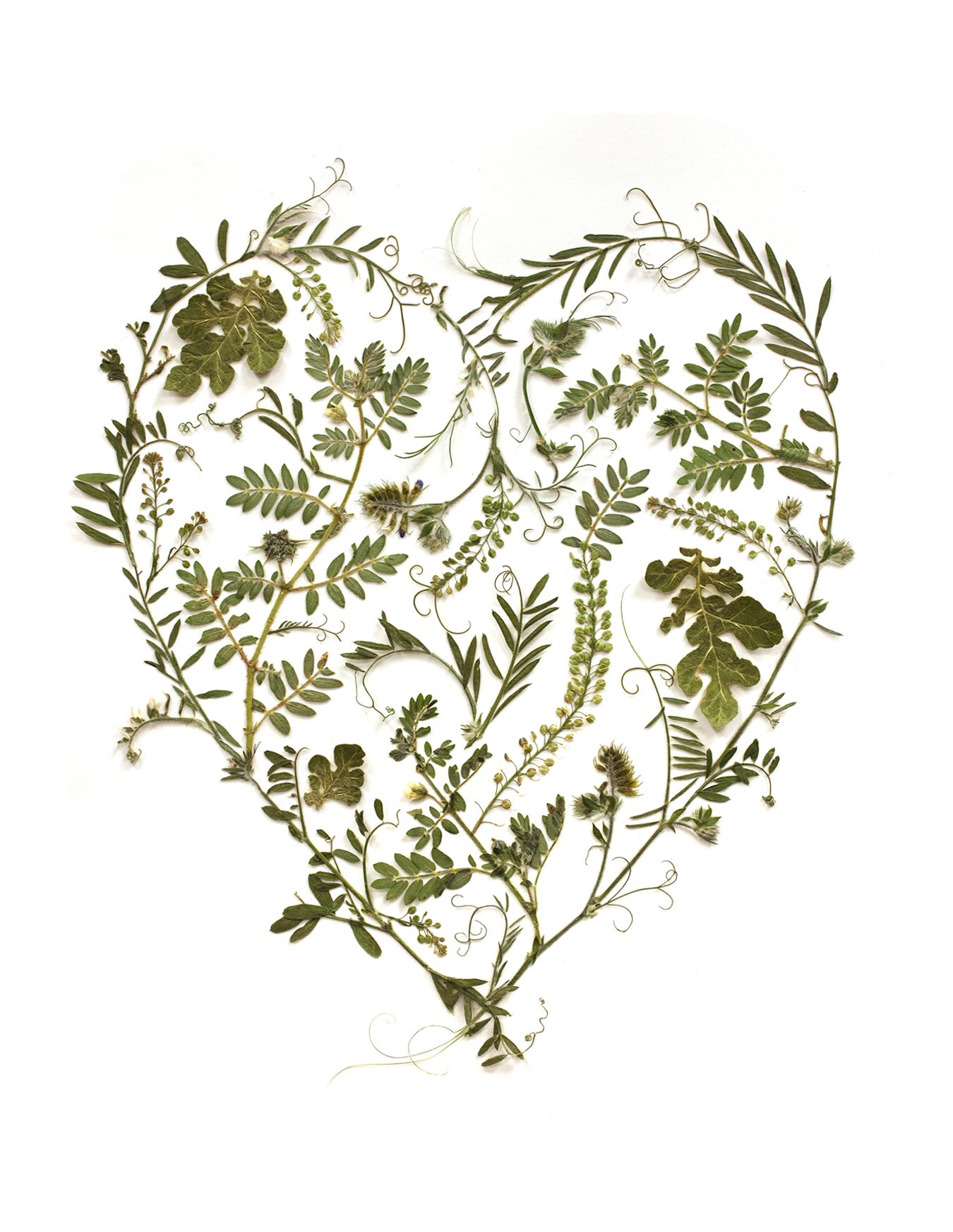 Green Botanical Heart Art Print