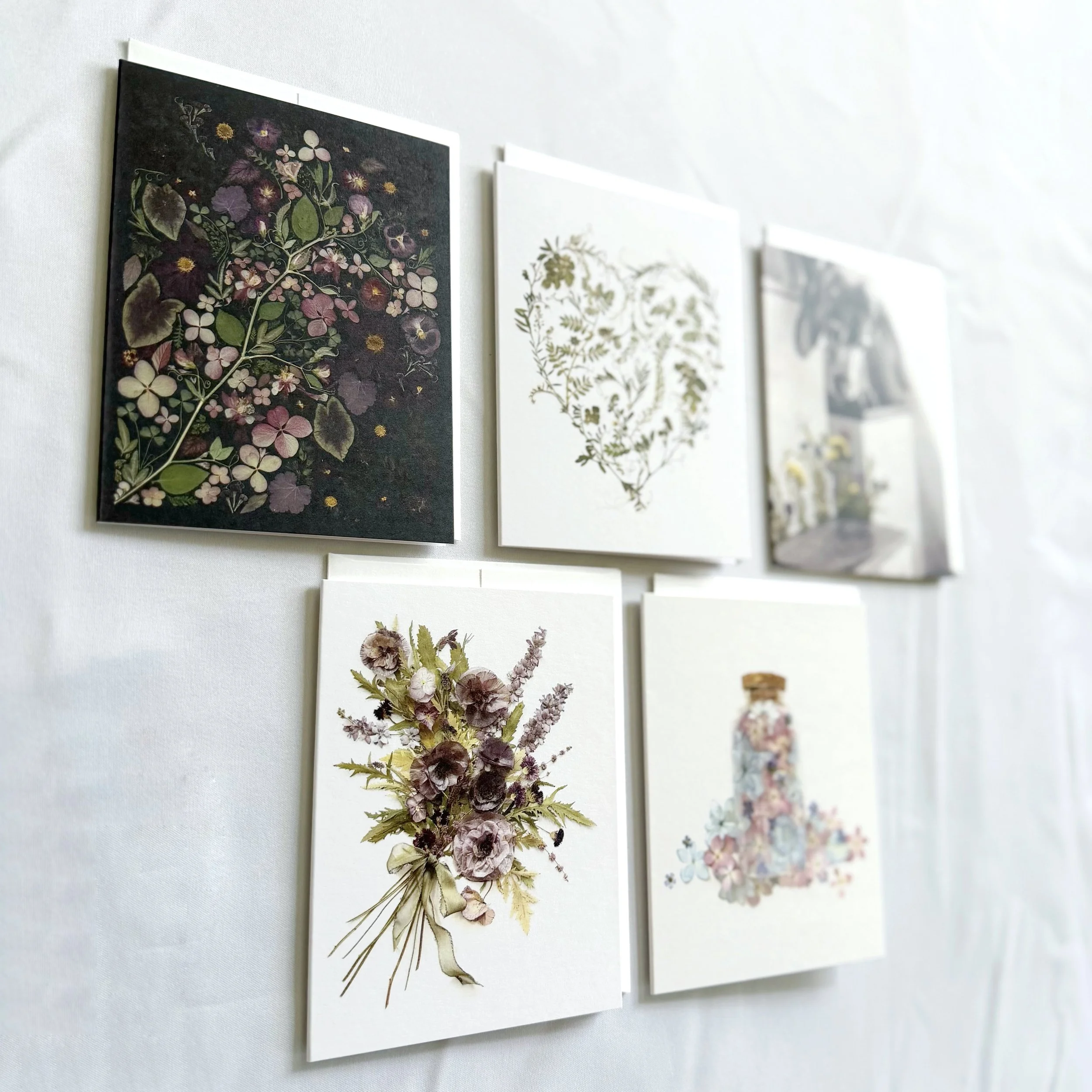 botanical-five-card-set-pressed-flowers.jpg