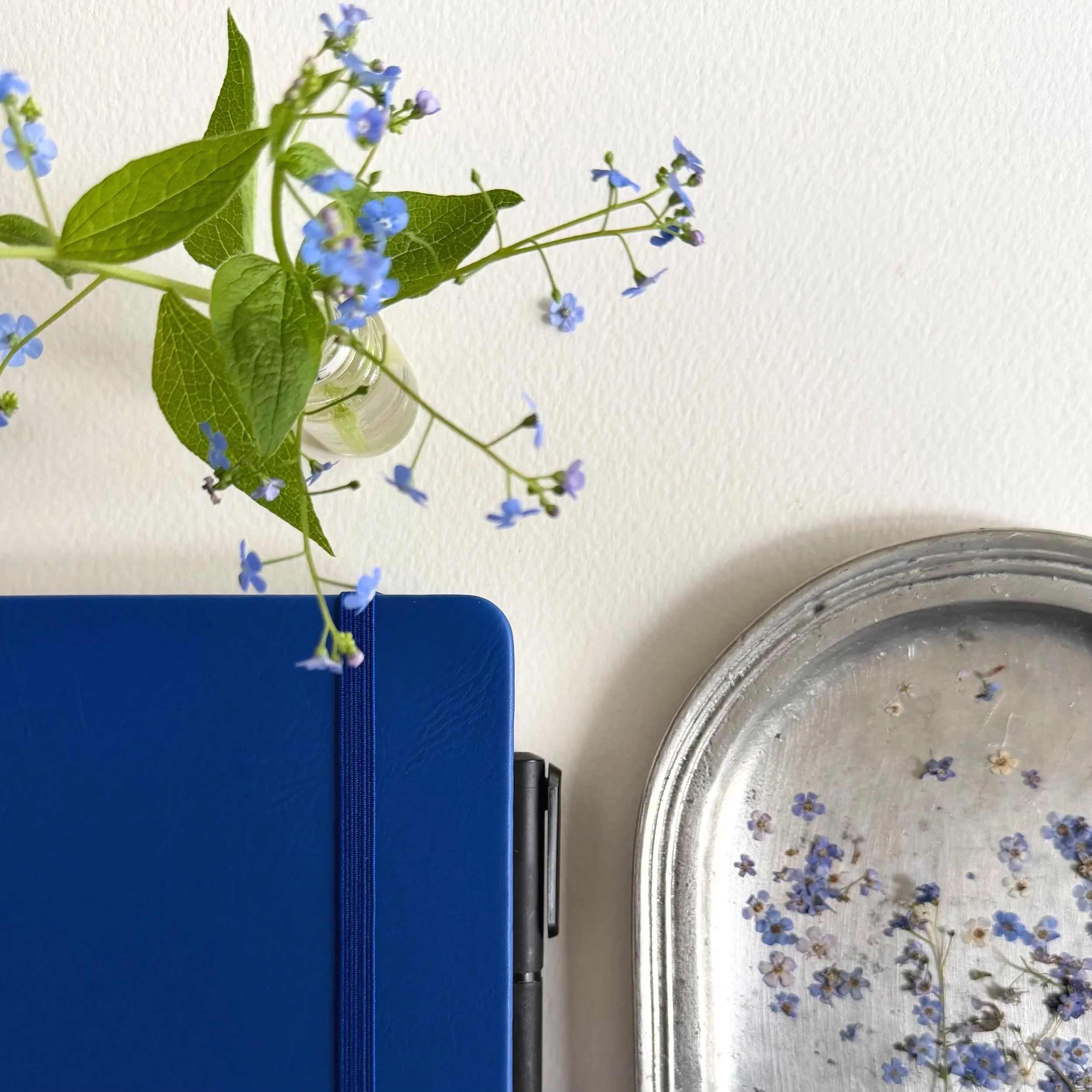 forget-me-not-notebook.jpg