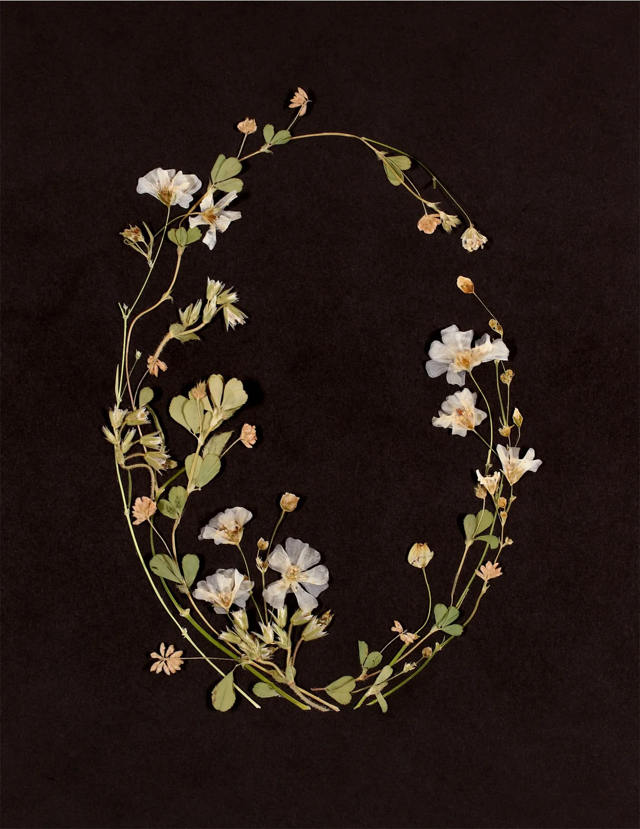 Floral Oval Wreath | 5 Card Set