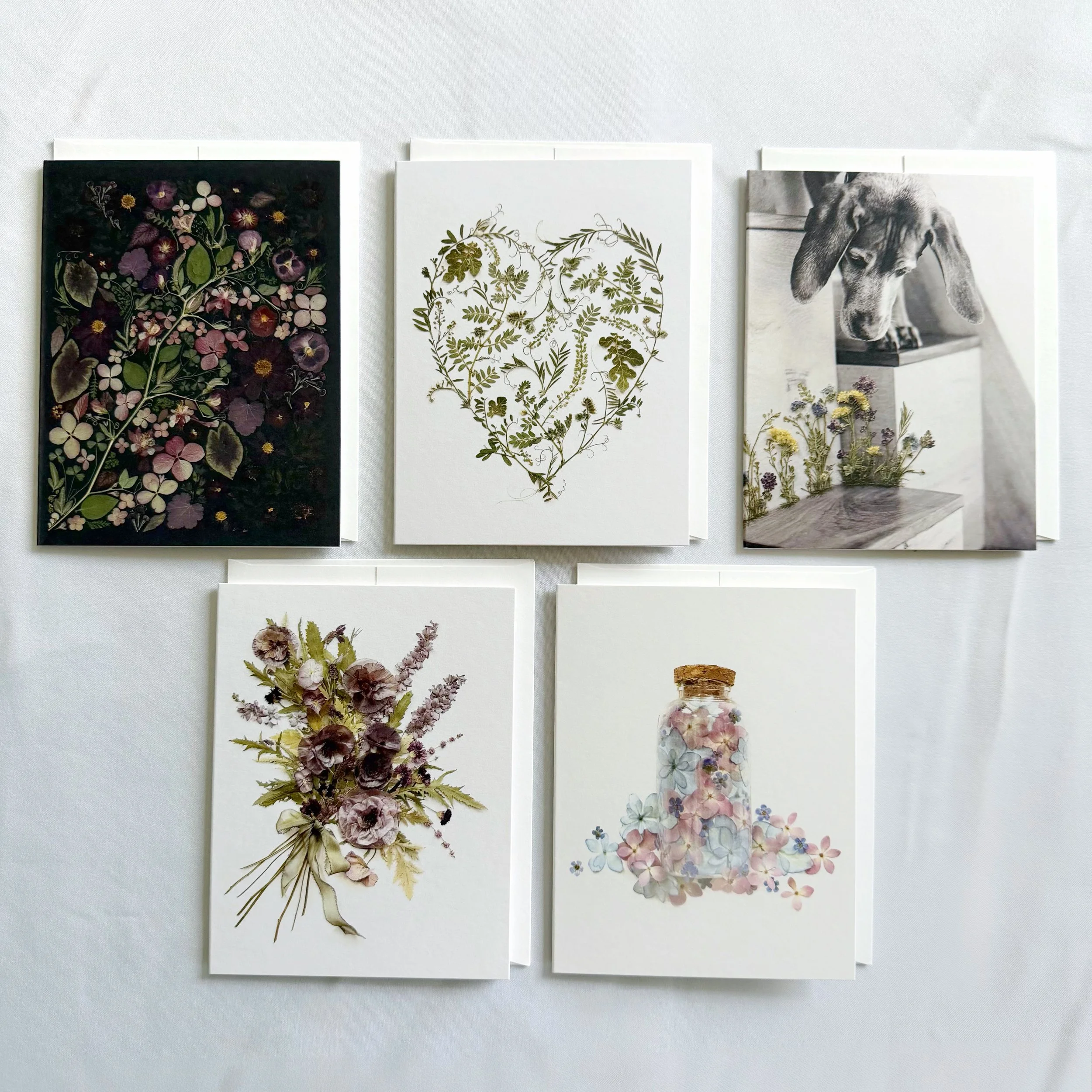 Botanical Sample Set | 5 Card Set