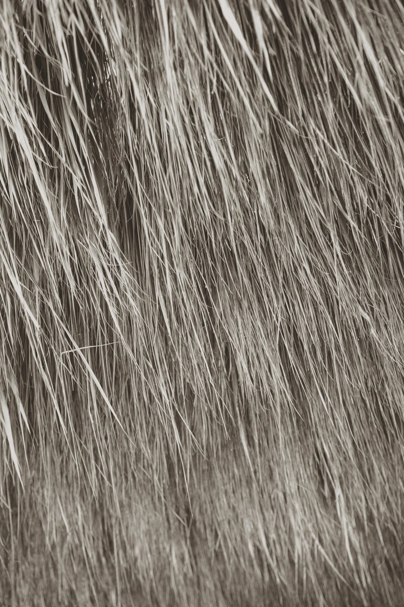 Presets-9418.JPG