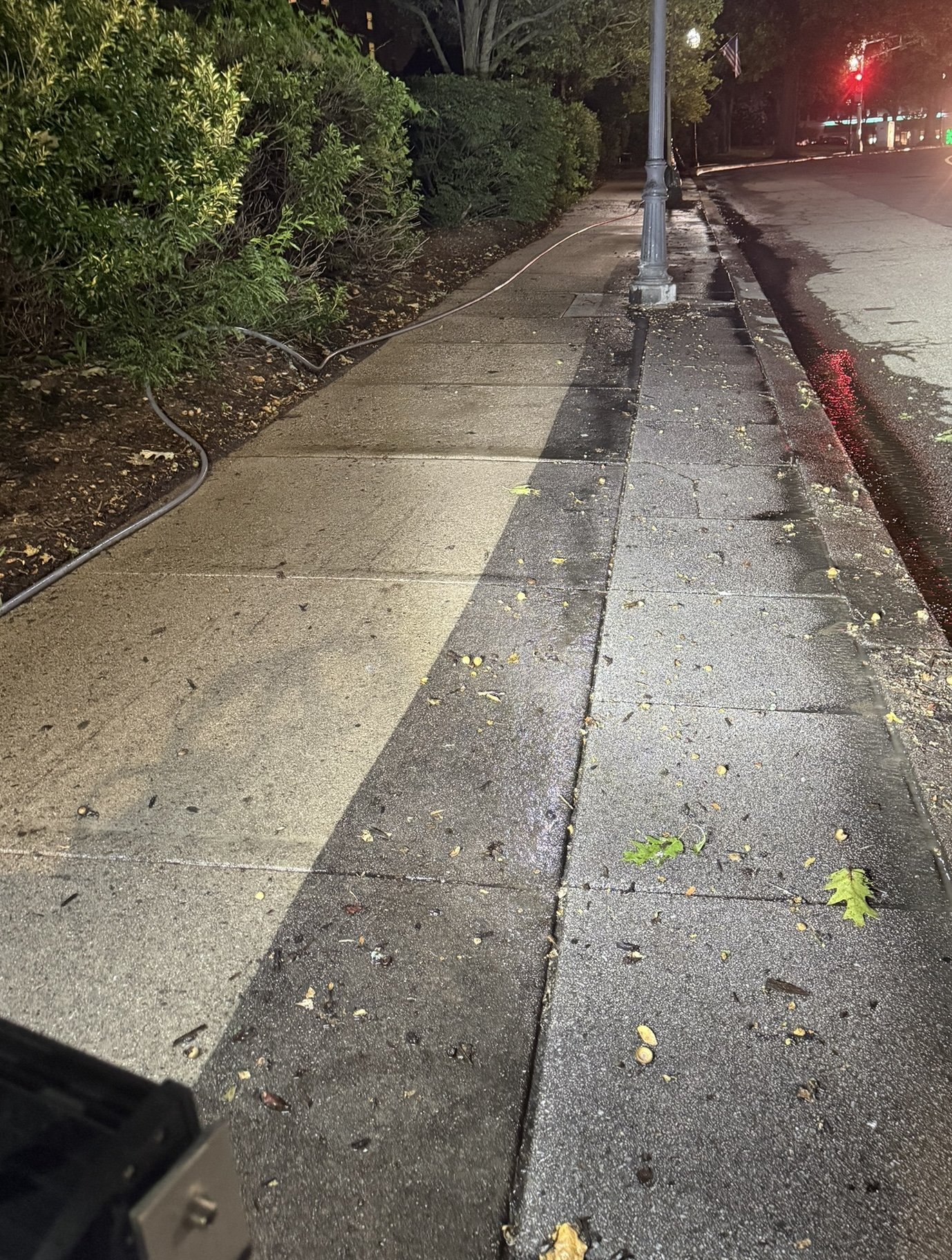 Nighttime city sidewalk with wet pavement, fallen leaves, green bushes on the left, and a streetlamp on the sidewalk.