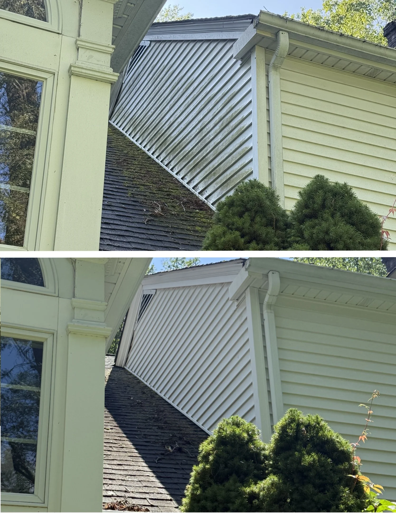 Vinyl siding soft wash