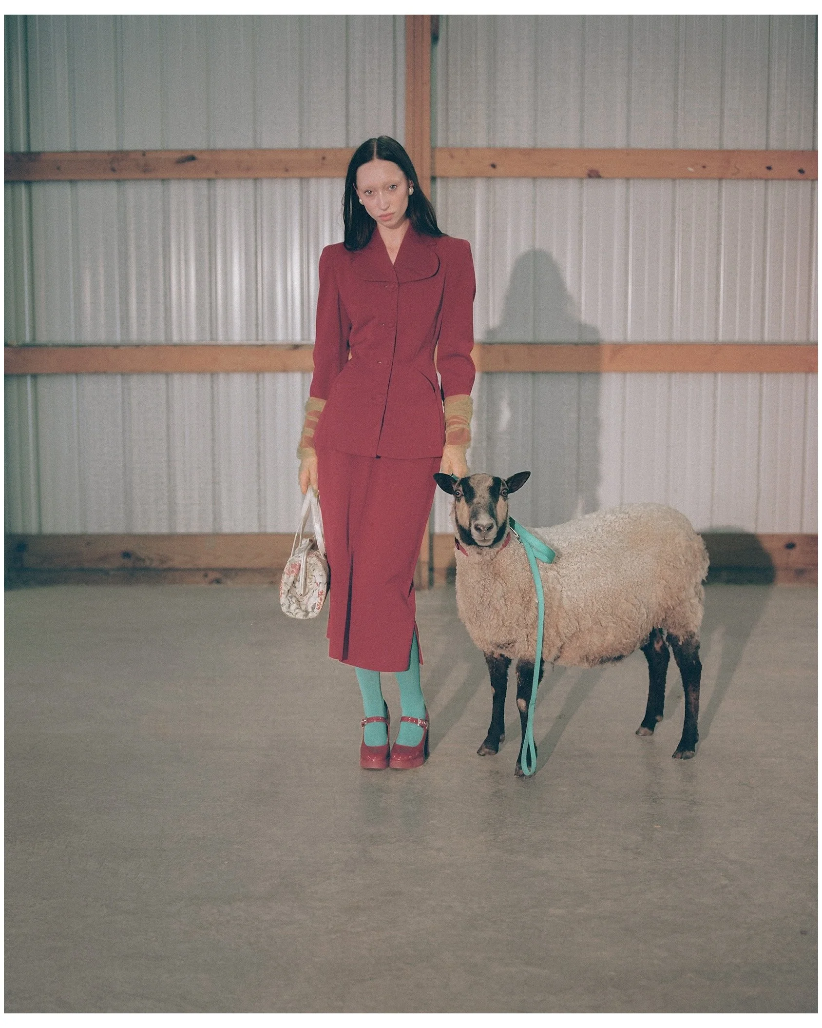 The Goat-lead Muse - Writer/Producer/Casting/AD