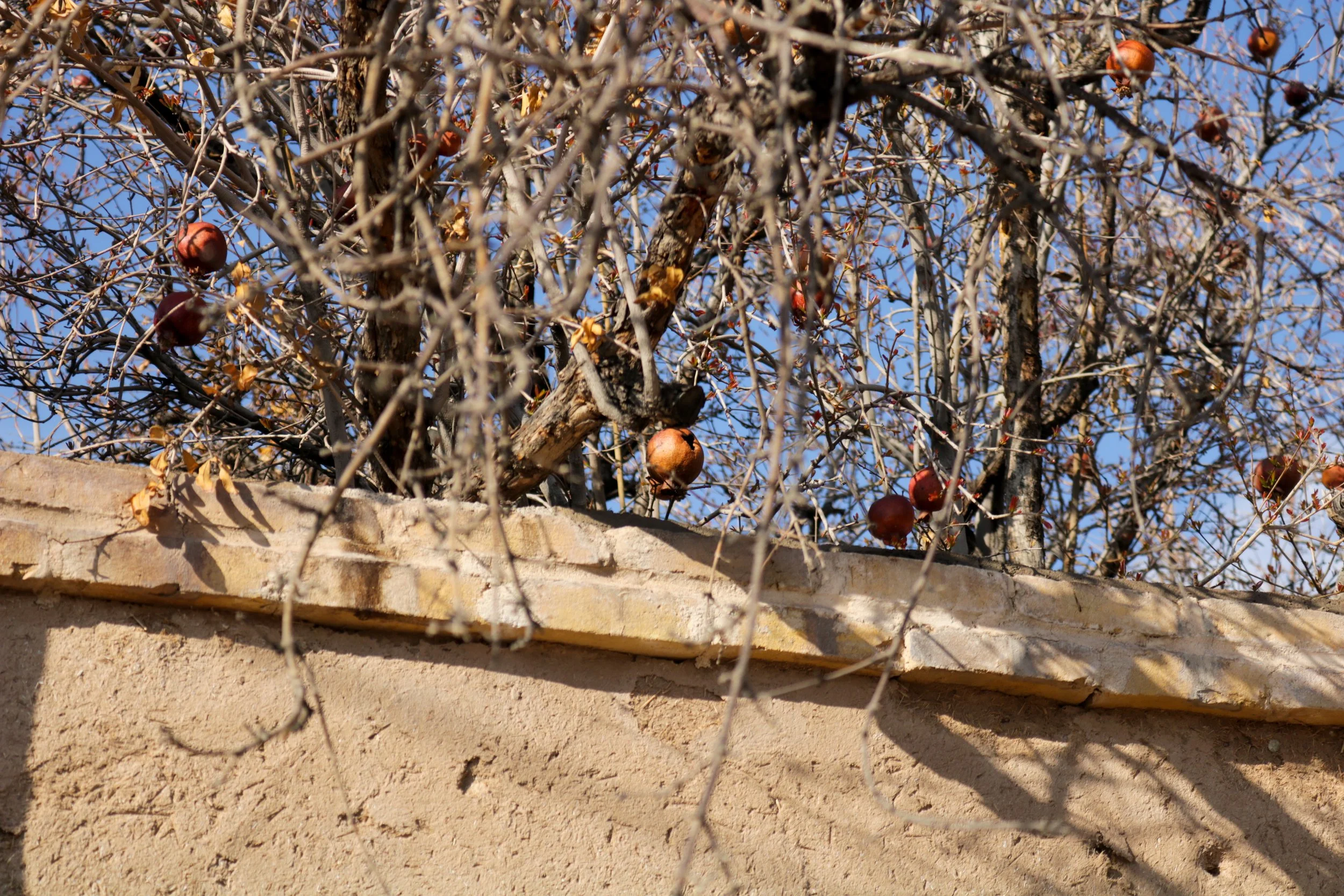 Documentary photography of Mobarakeh village in Yazd Province, Iran, Zoroastrian heritage, mud-brick houses with windcatchers, Shirkuh mountains, ancient culture and architecture, Hamburg, Dokumentarfotografie, zoroastrisches Erbe, Ratanaz Dehnadi, I