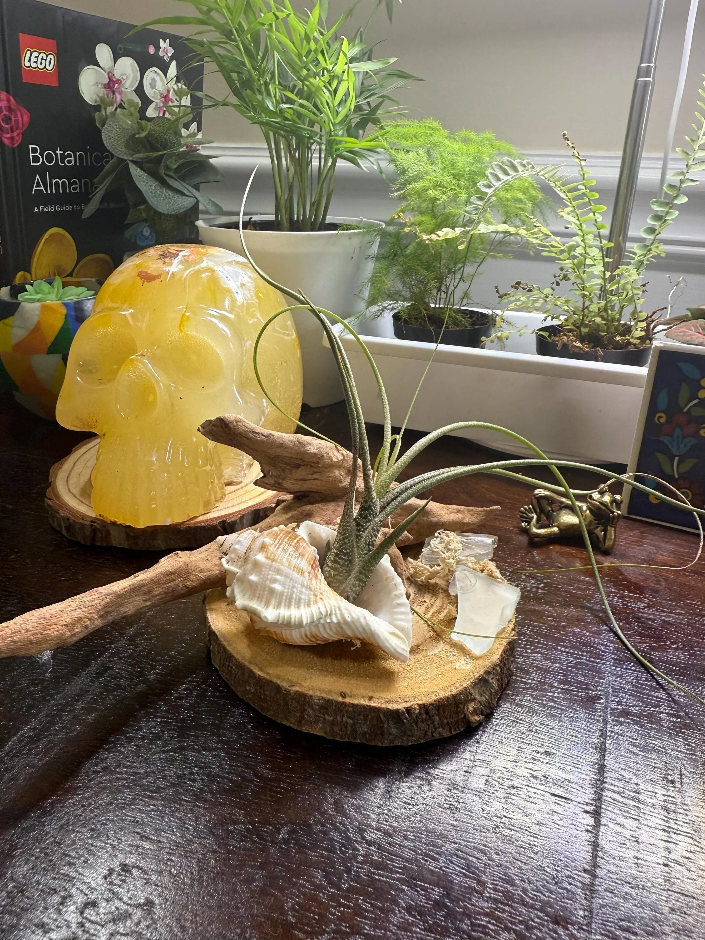 https://i.etsystatic.com/57480976/r/il/10fd2c/7049689701/il_fullxfull.7049689701_3adq.jpg