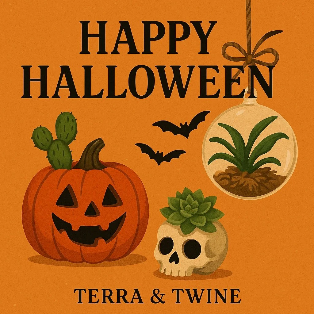 🎃👻 Happy Halloween from Terra &amp; Twine! 👻🎃

Wishing everyone a spooky, cozy, and joy-filled Halloween night!

Whether you&rsquo;re handing out treats, dressing up, or lighting a candle or two &mdash; may your evening be full of magic (and mayb