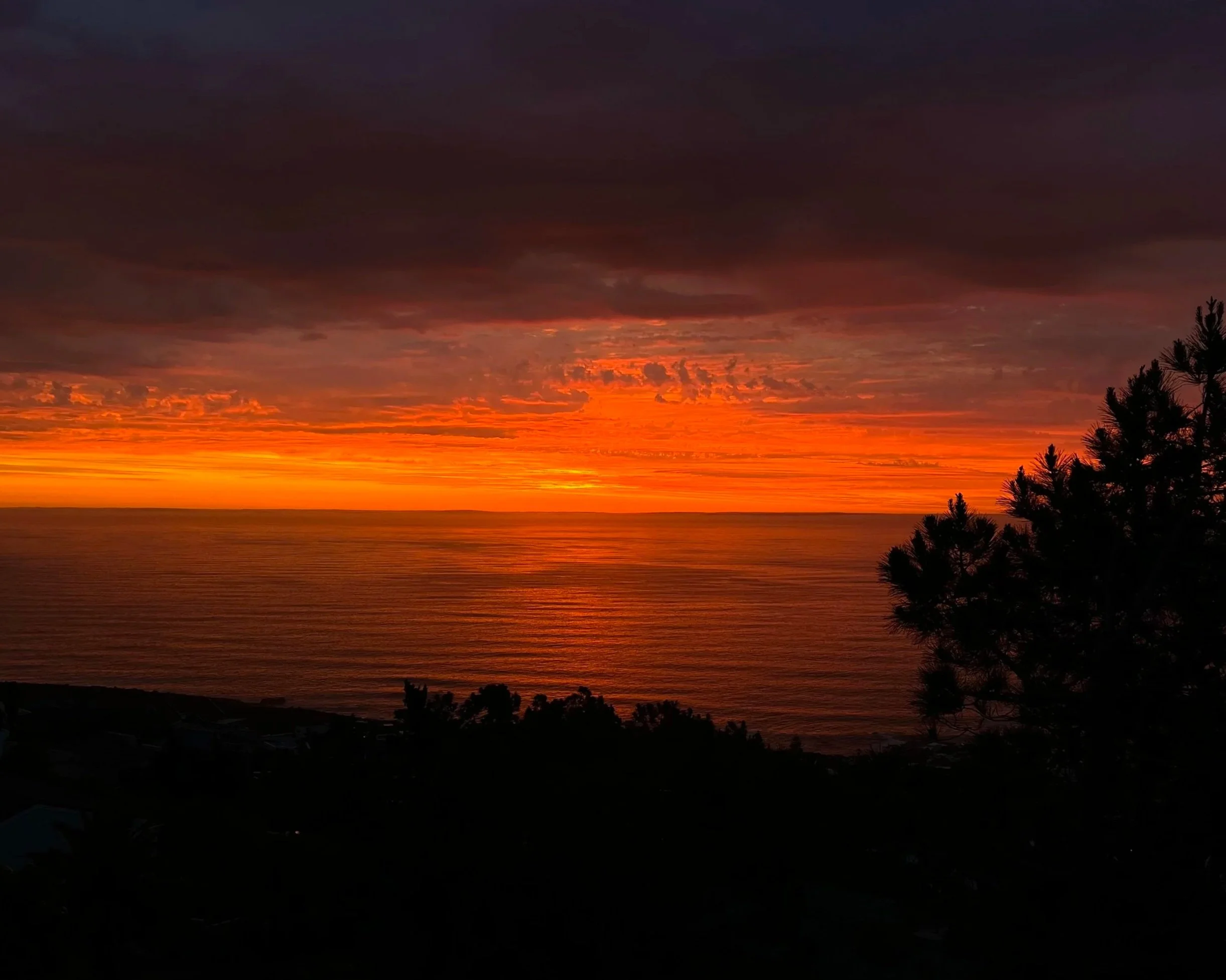 Vibrant sunset over the ocean with trees silhouetted in the foreground.
