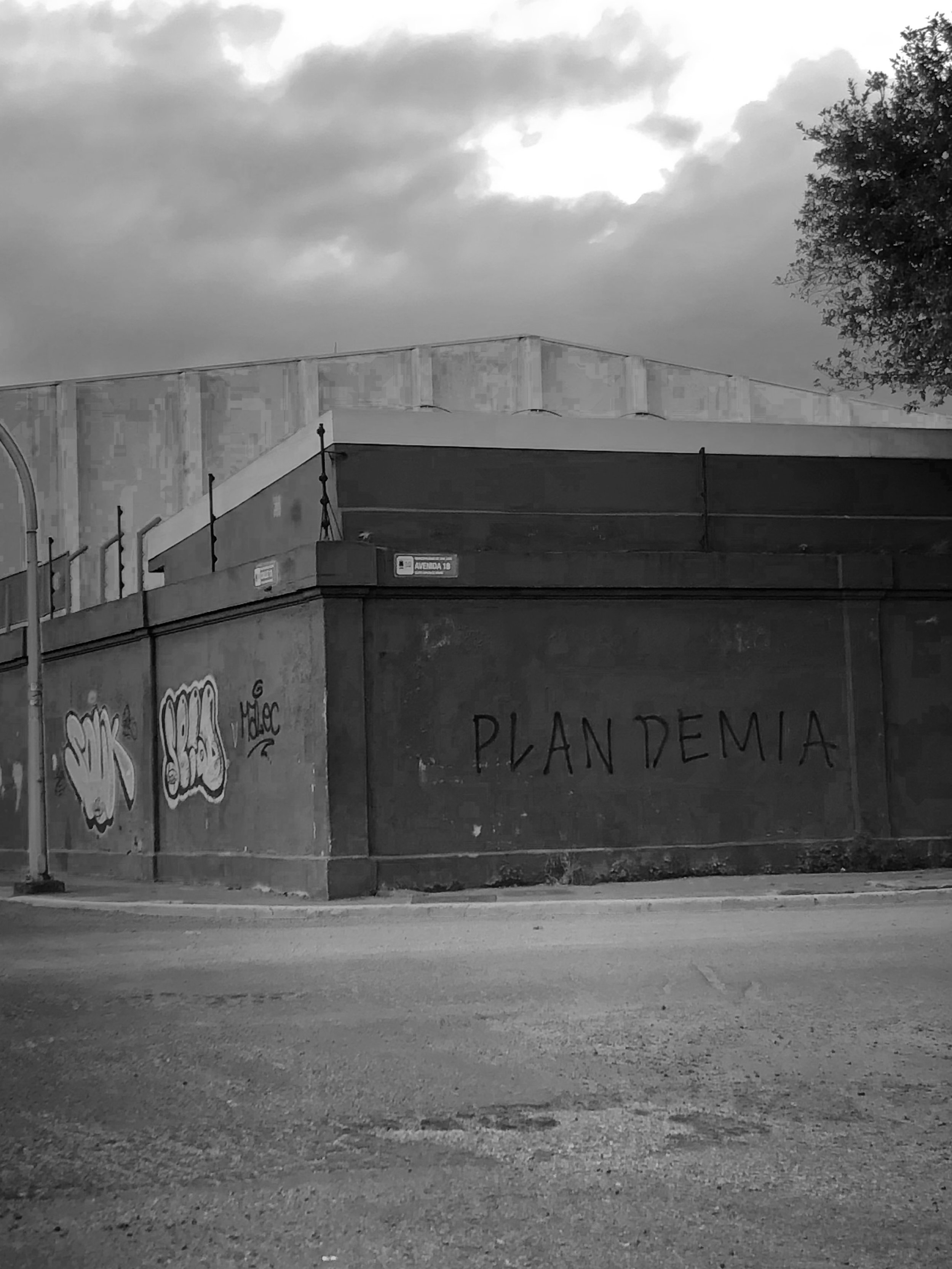 Black and white image of a building corner with graffiti, including the word 'PLANDEMIA' painted on the wall. Overcast sky in the background.