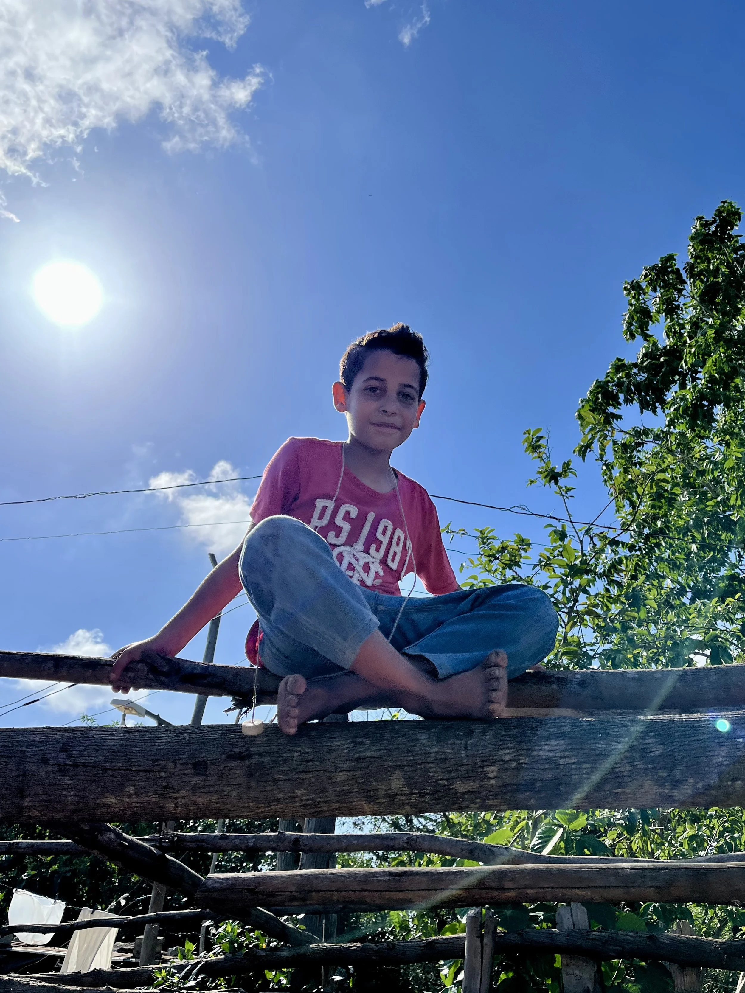 A young boy sitting on a wooden fence under a bright blue sky with the sun shining. He is wearing a red shirt and jeans, with trees in the background.