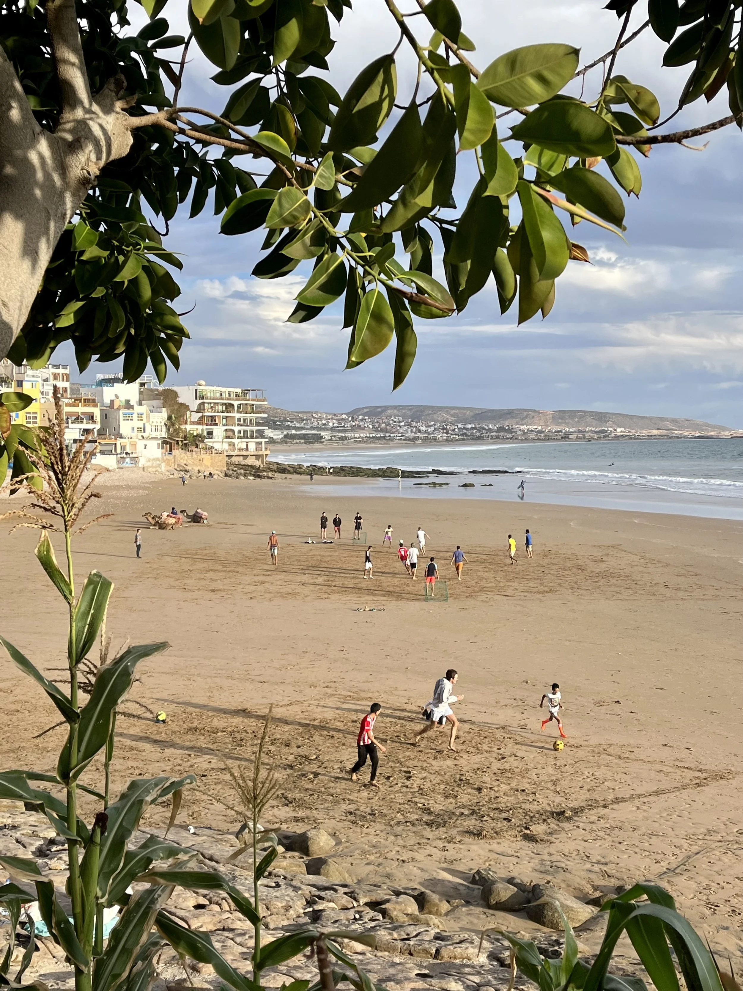 People playing soccer on a sandy beach with a view of the ocean, buildings in the background, and leafy branches in the foreground.