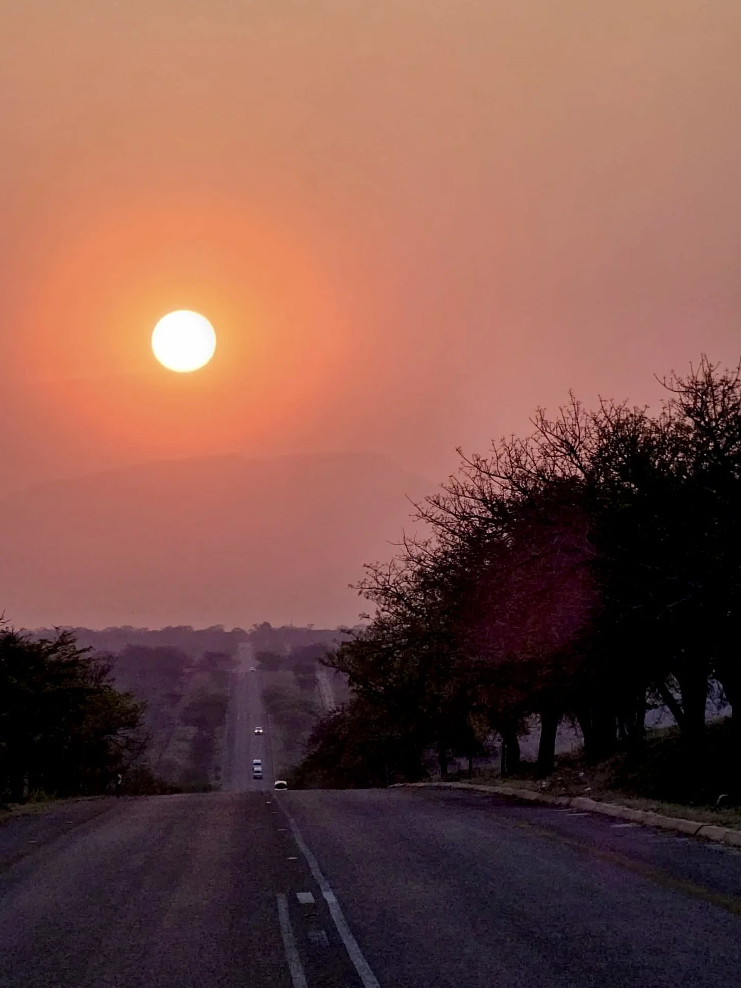 Sunrise over a rural road with silhouettes of trees on the side.