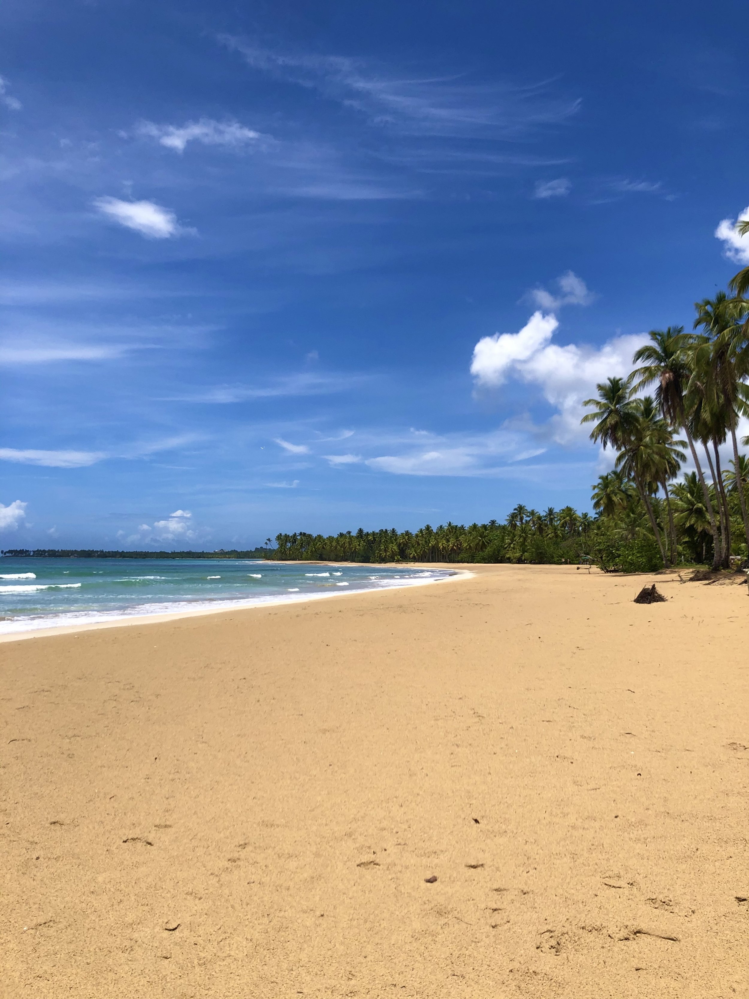 Sunny beach with golden sand, palm trees, and blue sky with clouds