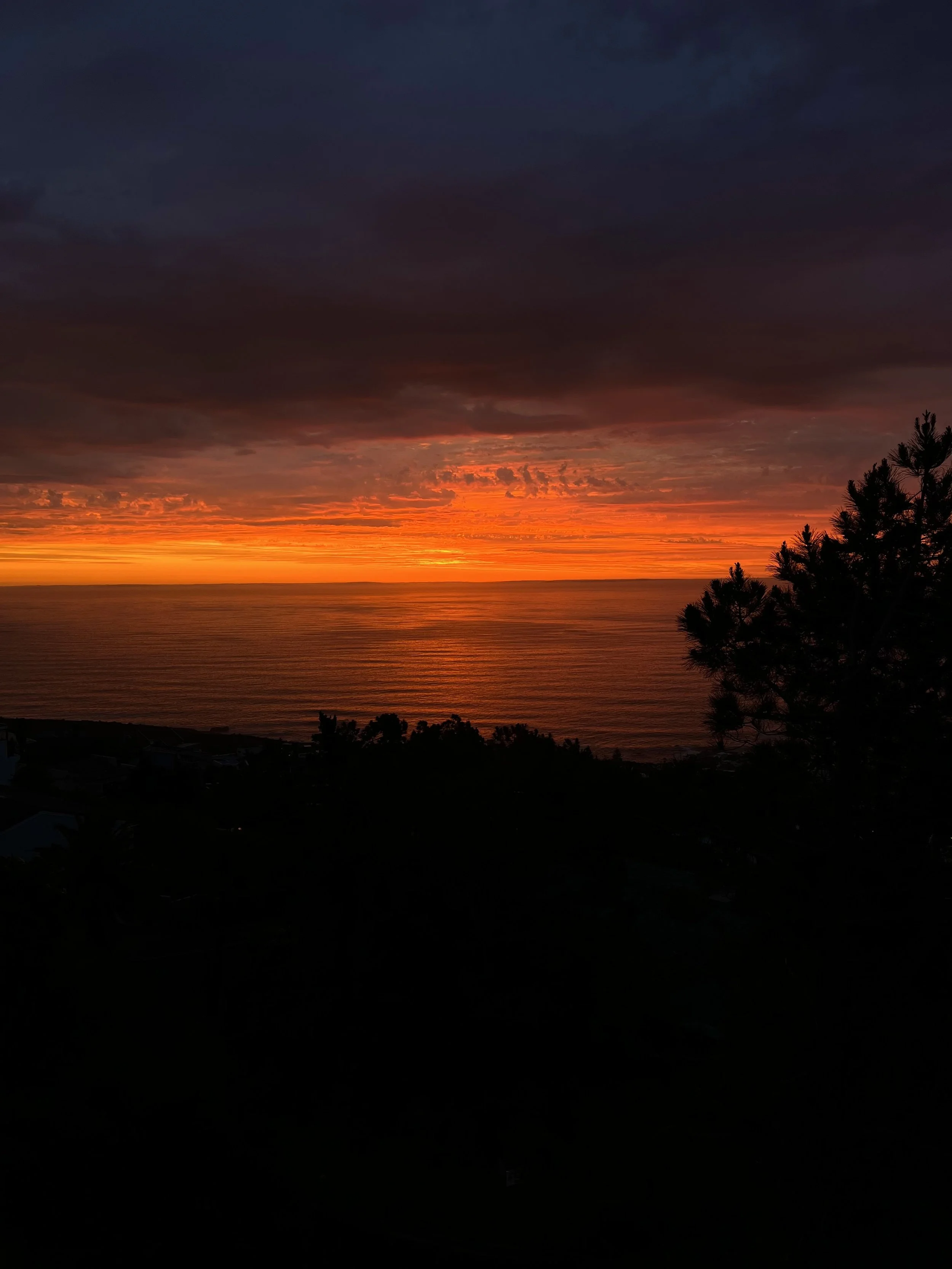 Vibrant sunset over the ocean with trees silhouetted in the foreground.