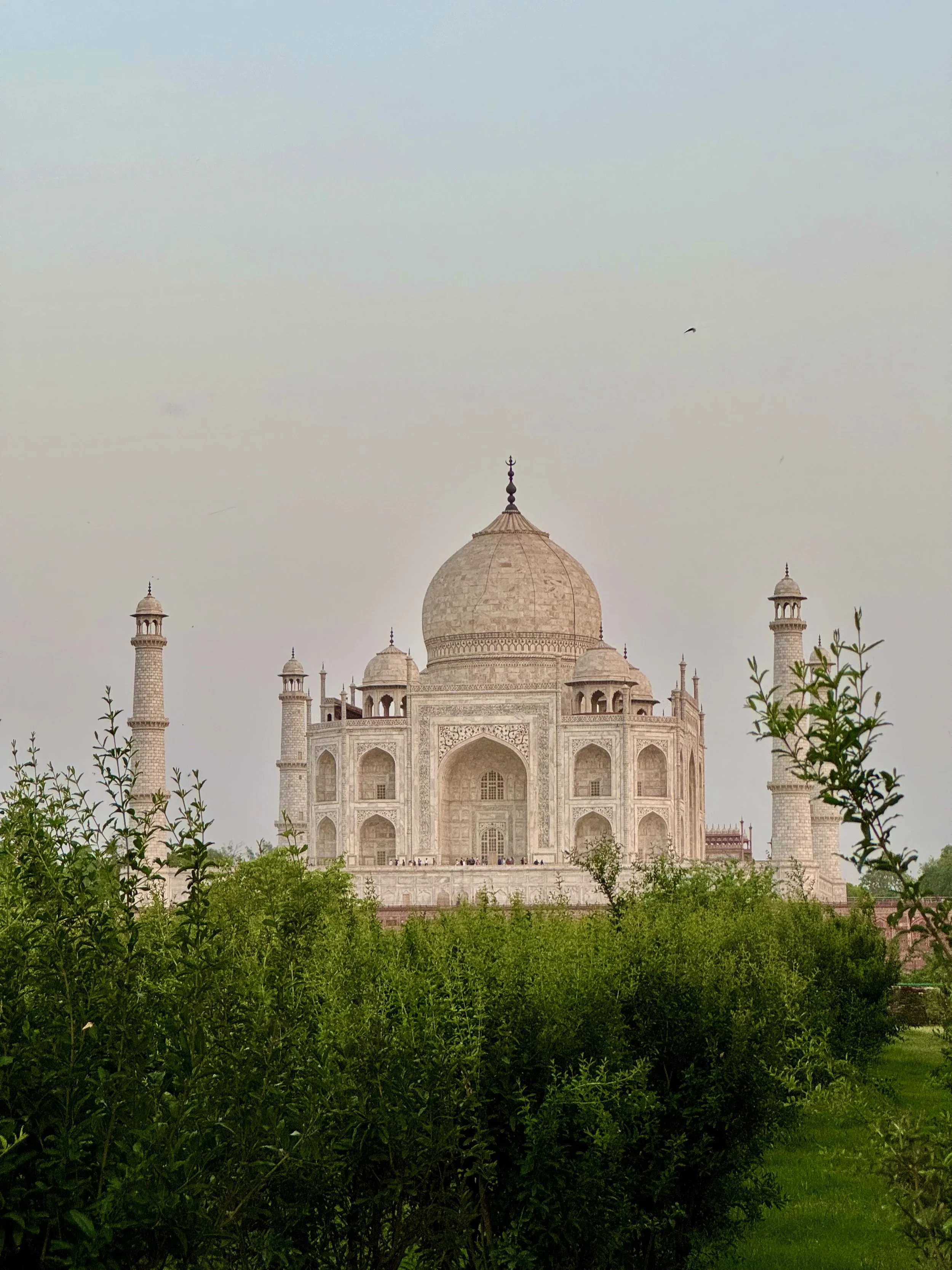 The Taj Mahal with surrounding greenery under a clear sky.