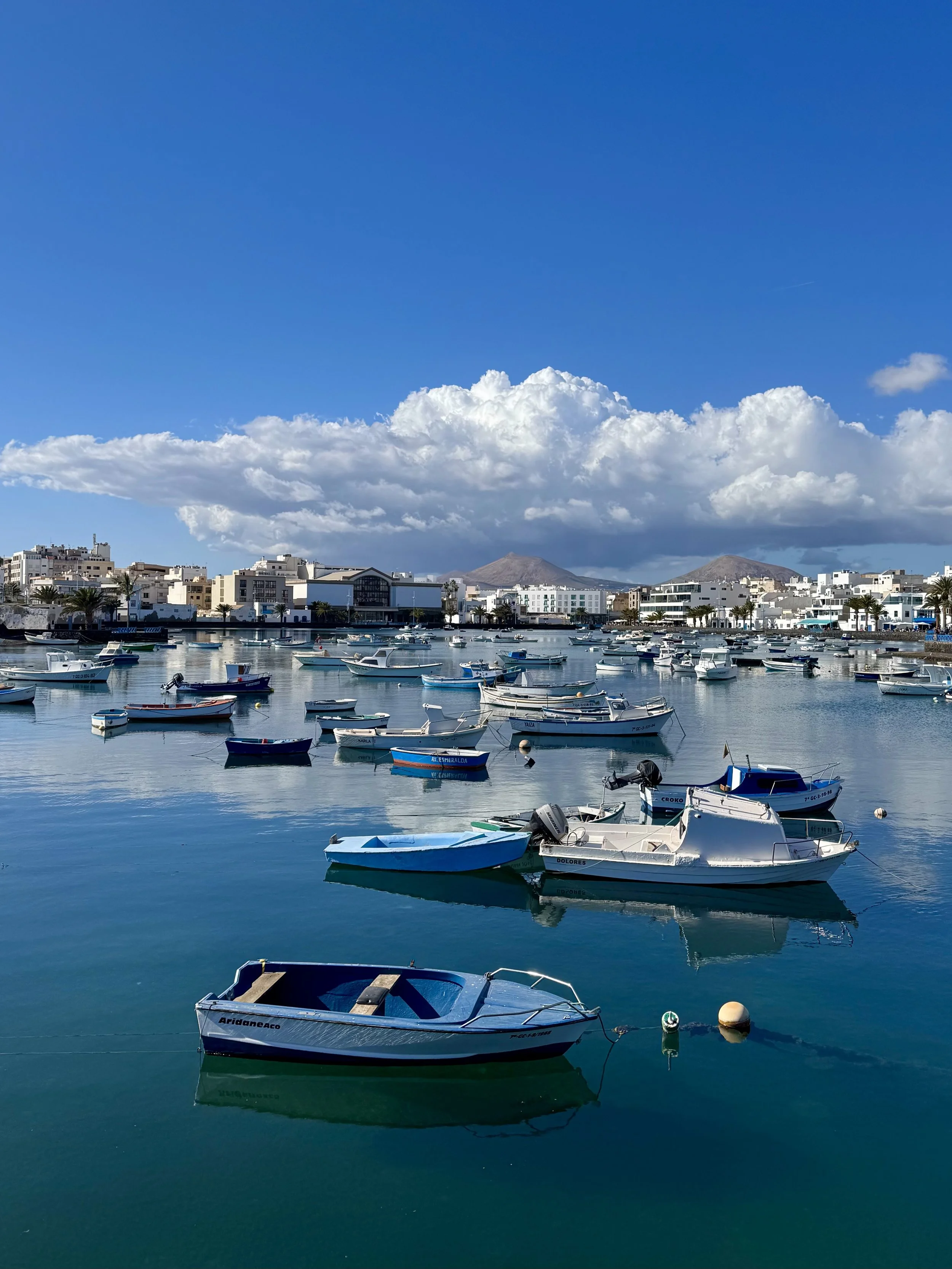 Harbor with small boats on calm water, cloudy sky, and buildings in the background.