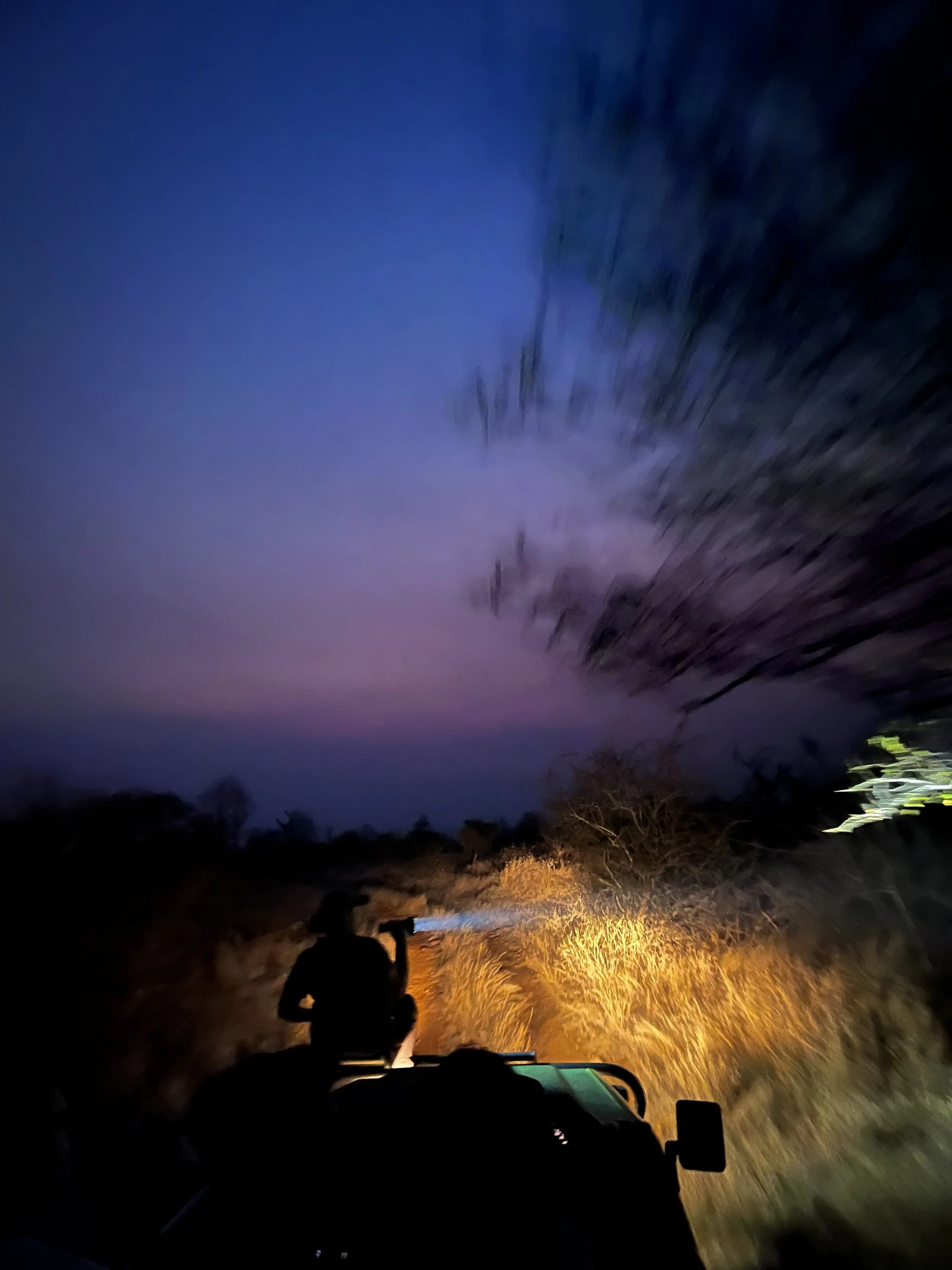 Night safari with person holding flashlight illuminating path in grasslands