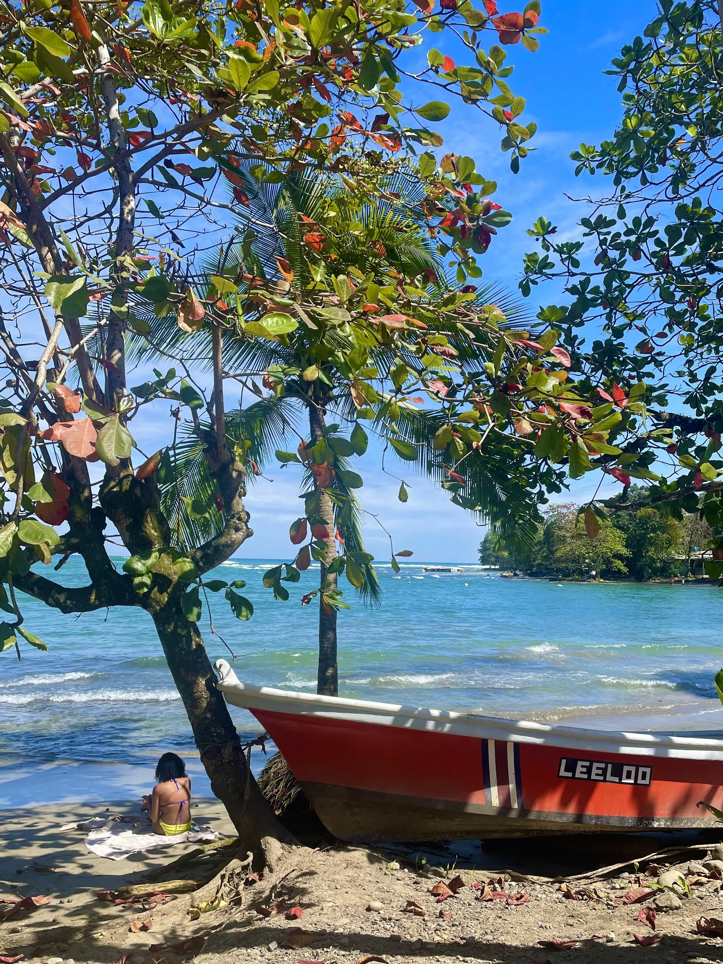 Beach scene with a red boat labeled 'LEELOO,' tropical trees, and a person sitting on a towel by the shoreline.