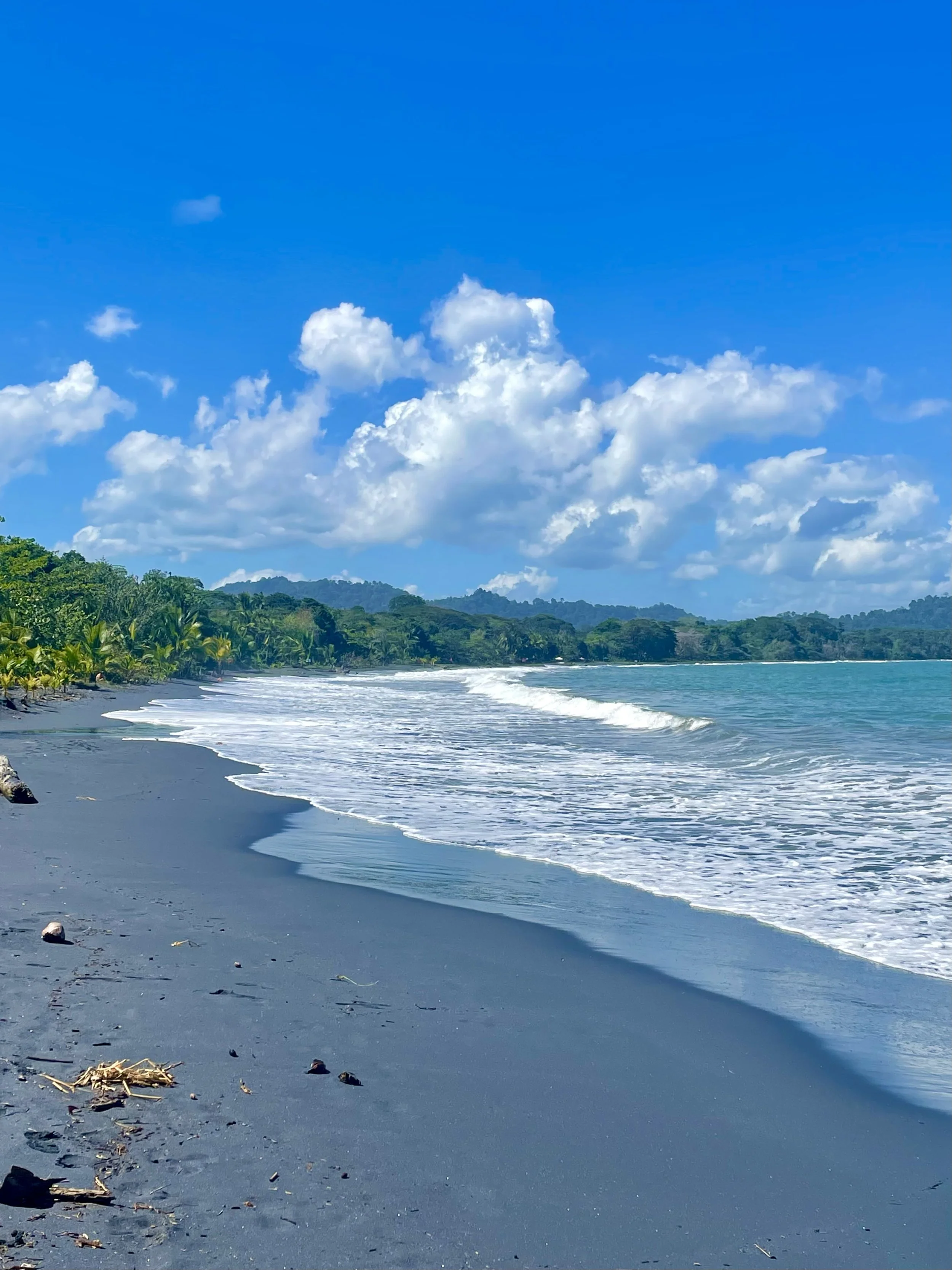 A scenic view of a black sand beach with gentle waves and lush green trees under a bright blue sky with scattered white clouds.