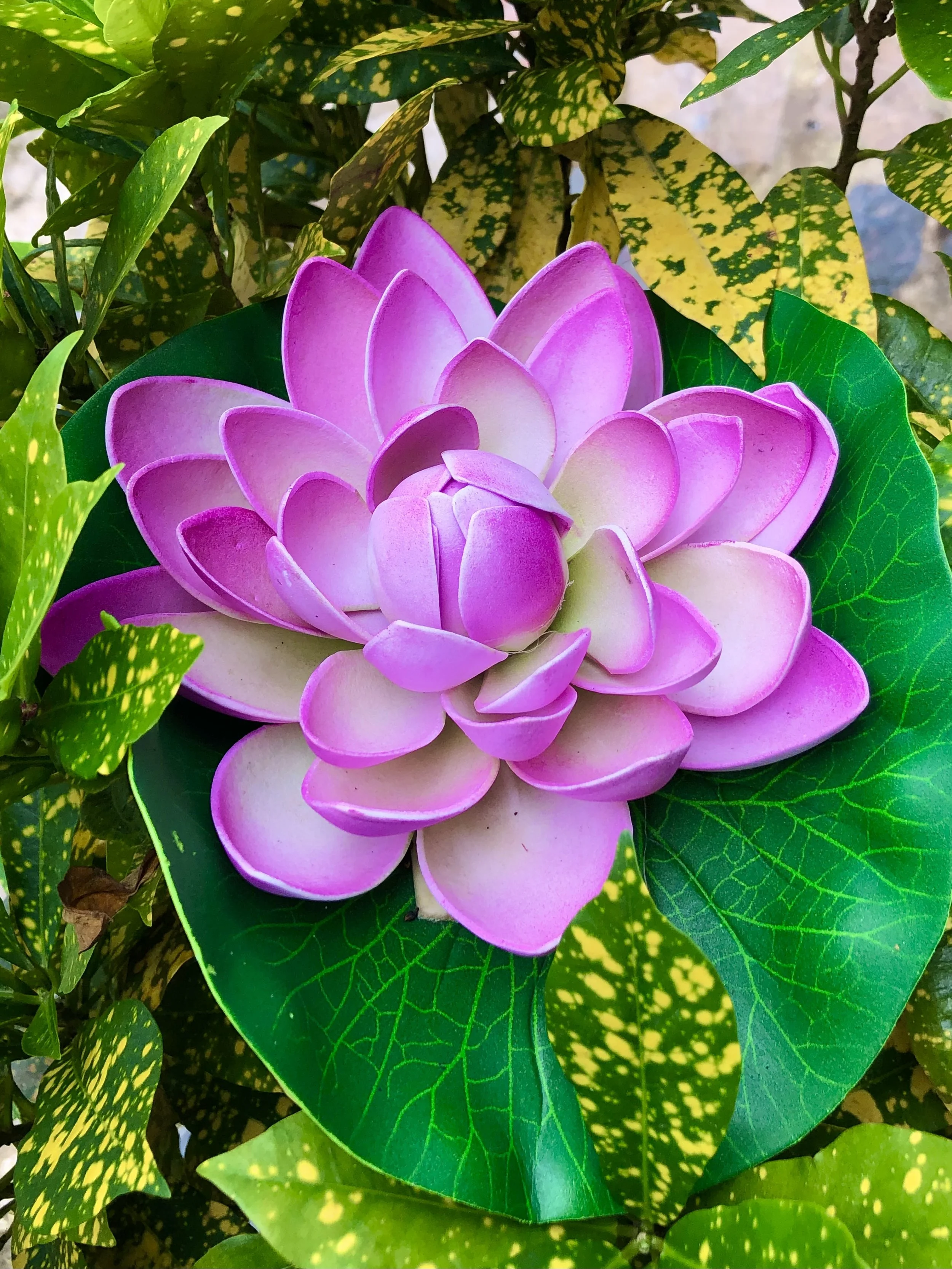 Artificial pink lotus flower with green leaves surrounded by yellow-spotted foliage.
