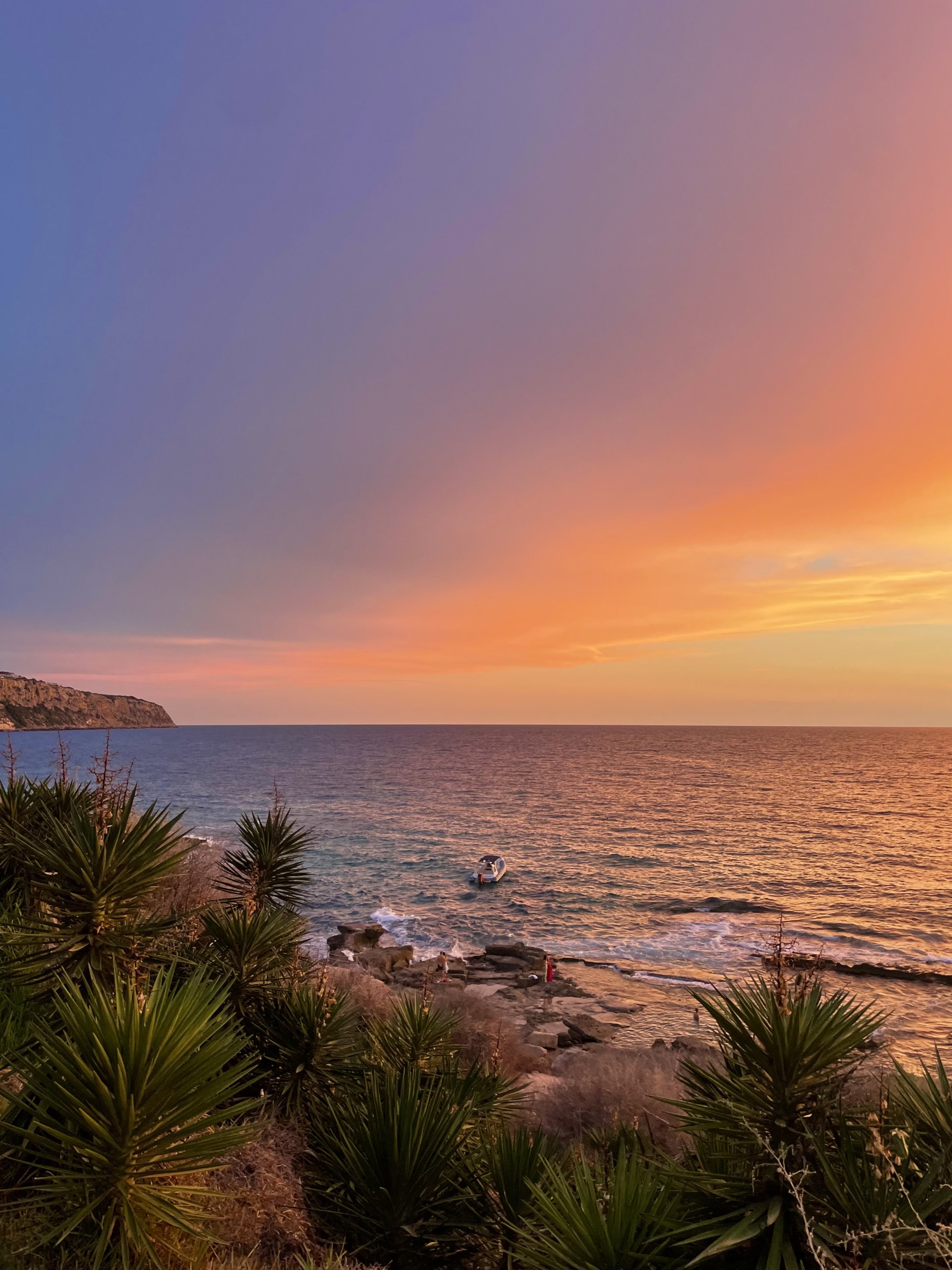 A small boat near the rocky shoreline at sunset with palm-like plants in the foreground.