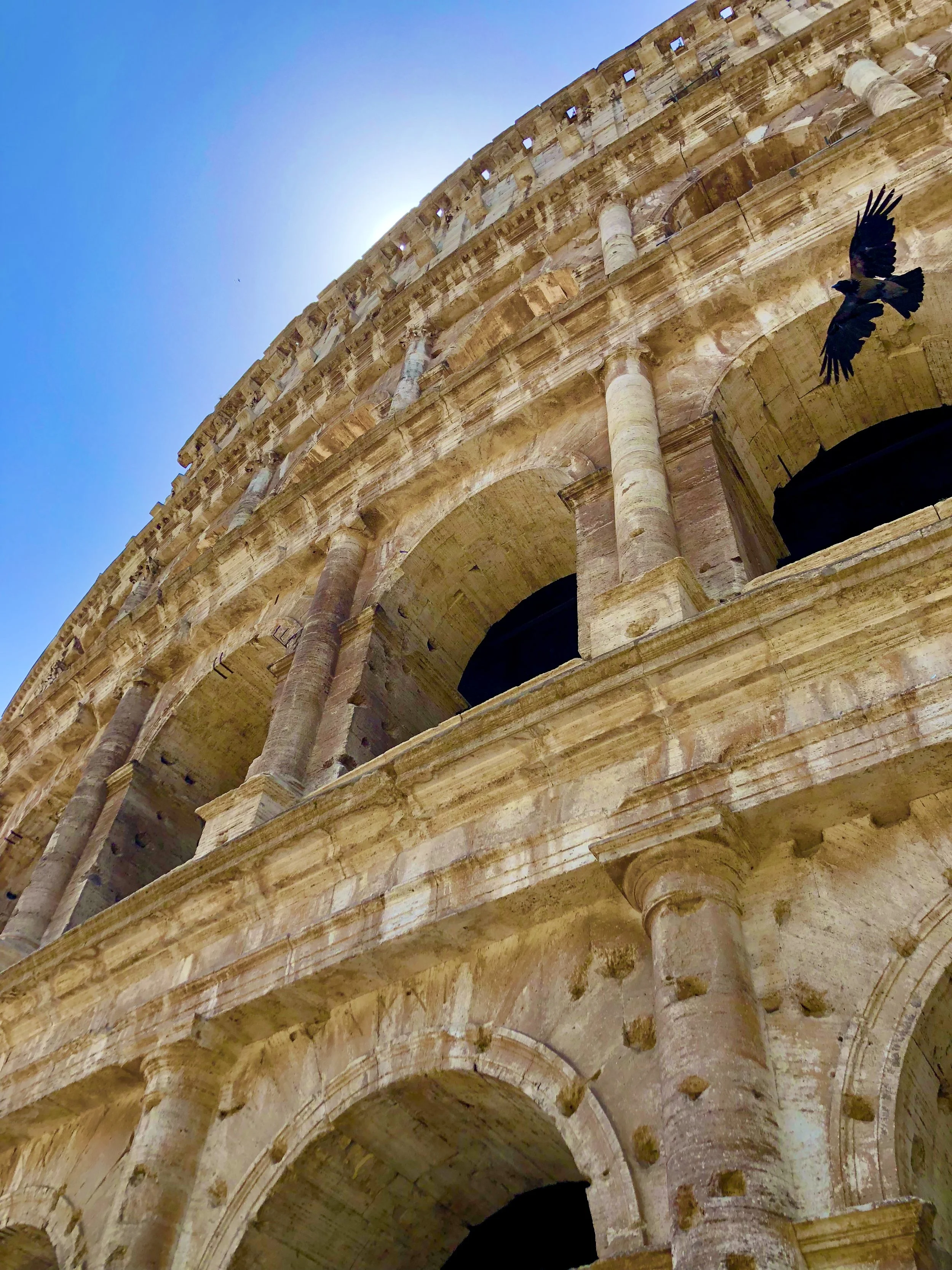 The Colosseum in Rome with a bird flying nearby, under a clear blue sky.